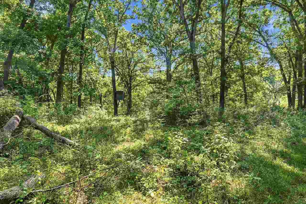 Property Photo 42