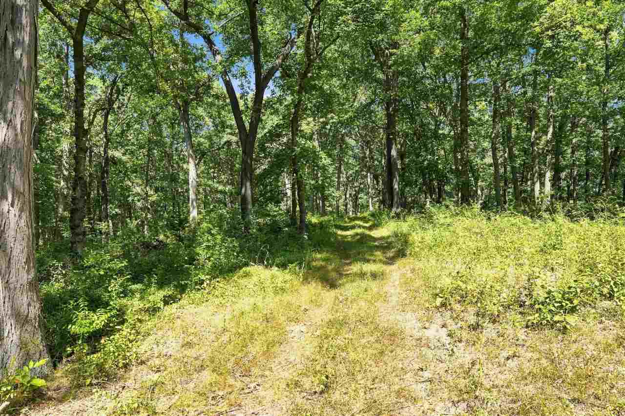 Property Photo 43