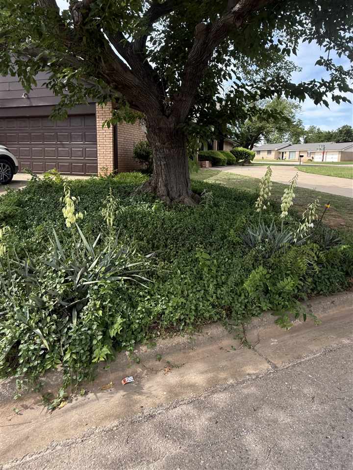 1104 Wall St, Frederick, OK, 73542