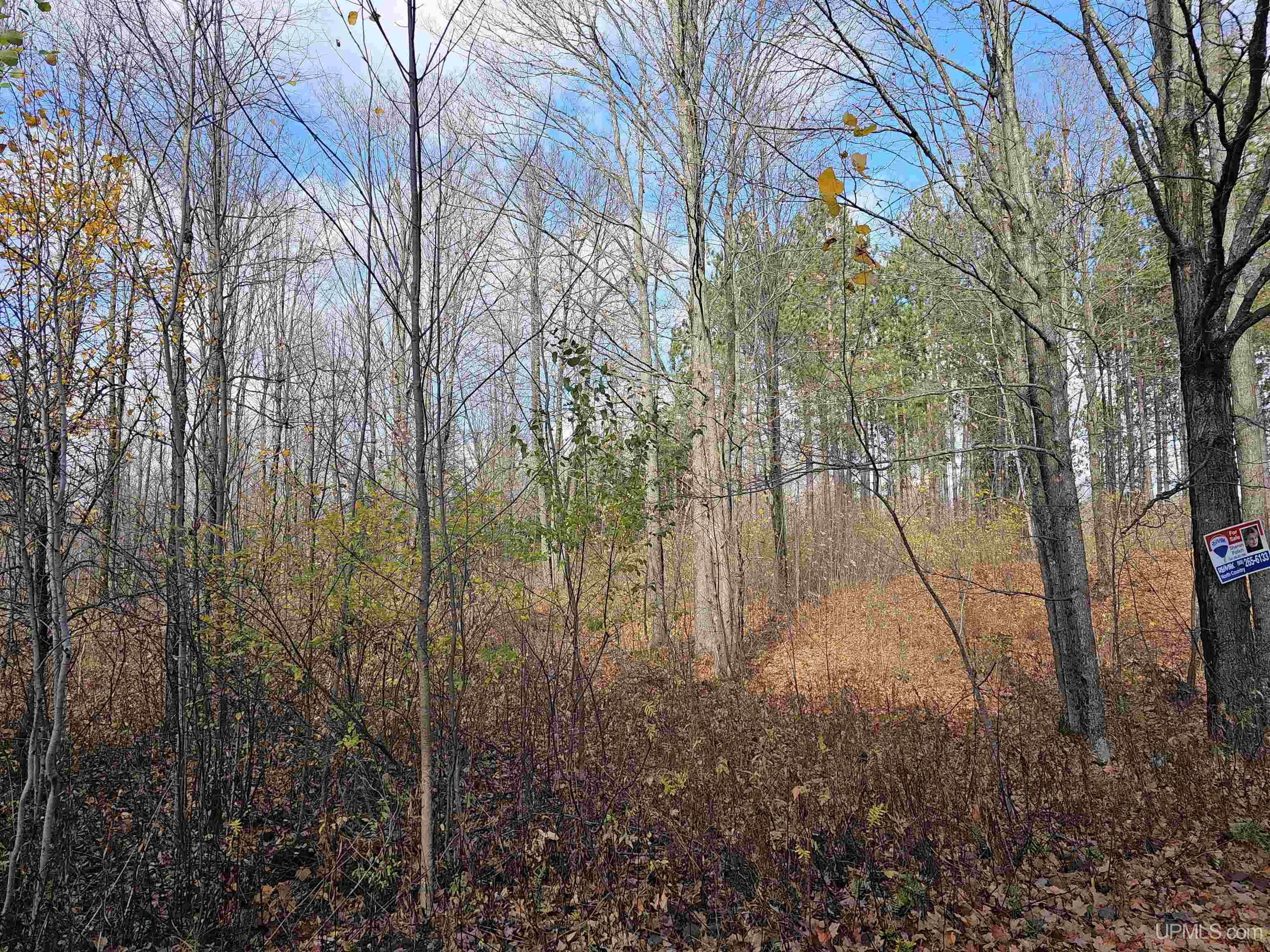 MLS 10066617 Large photo number 8 