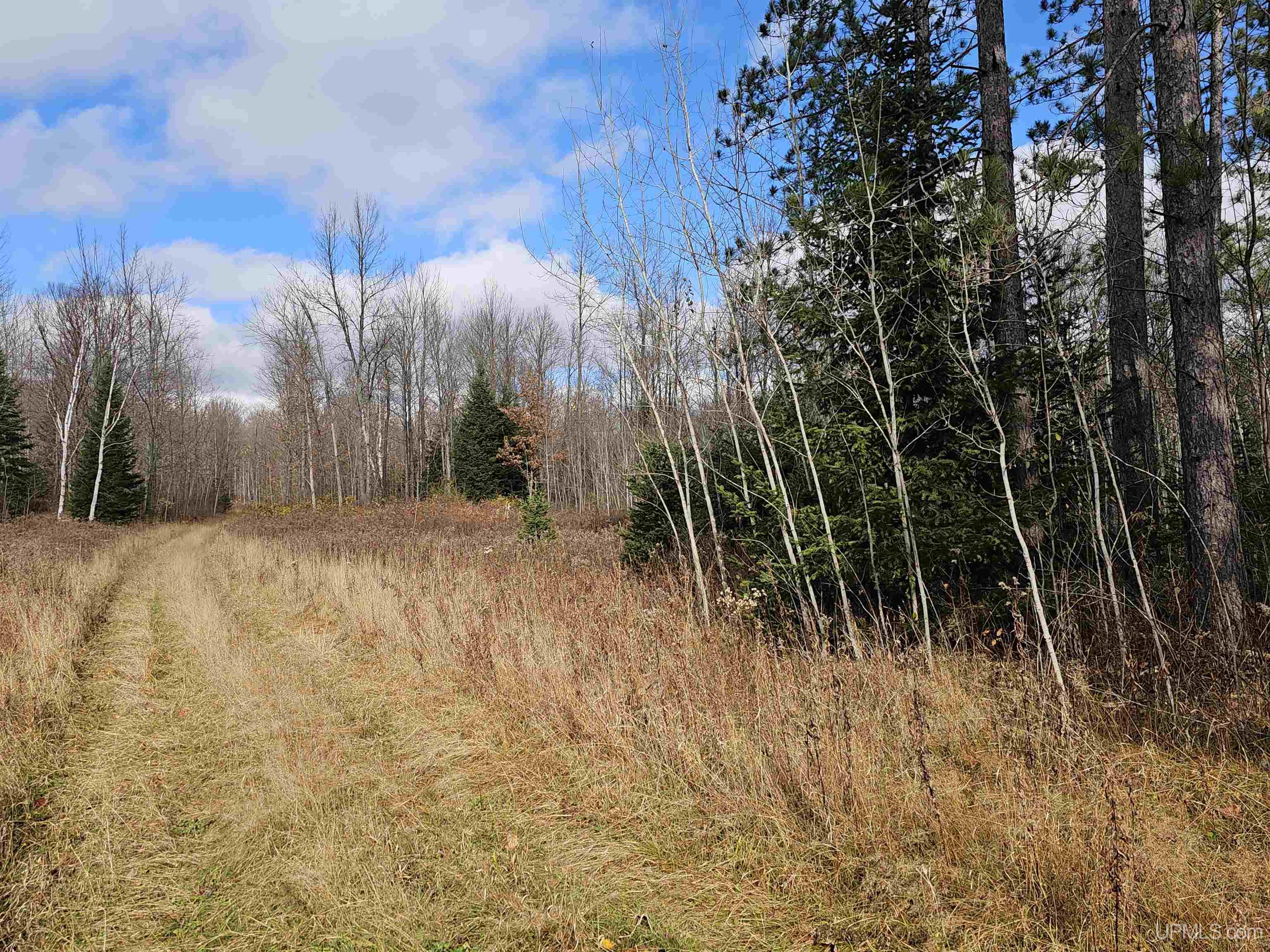 Land Listing MLS Number 10066637