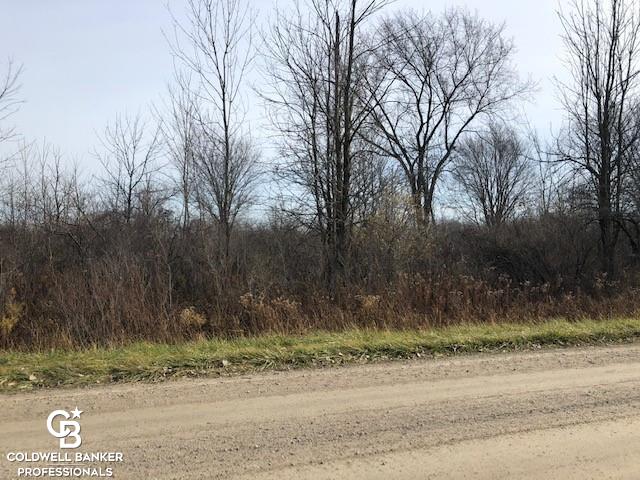 Photo 1 of Land for sale at 00 Cowhy Rd Parcel "b" Rd, Memphis, MI 48041 | MLS# 50085122 | Listing updated on 2026-09-30