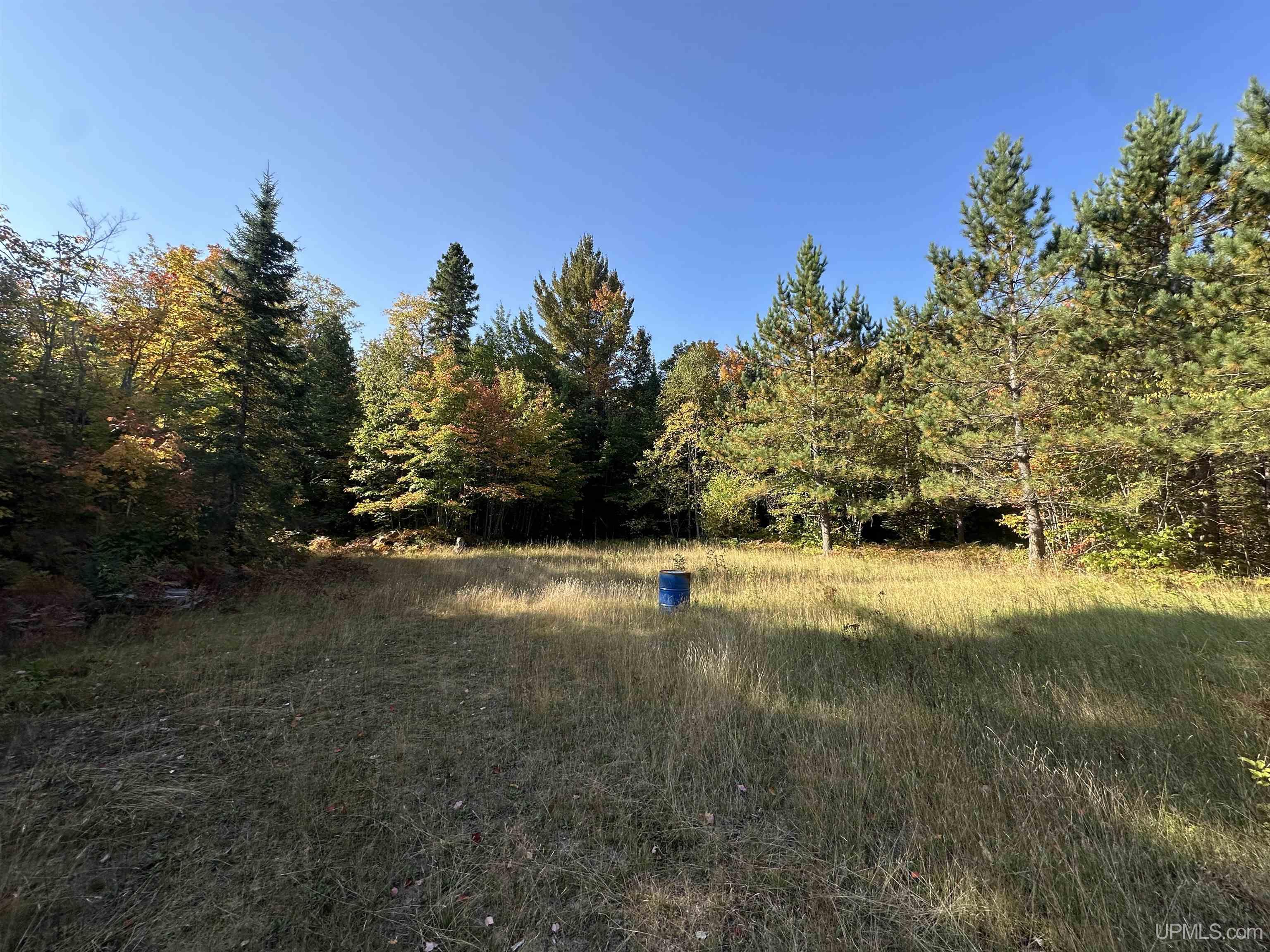 MLS 50086996 Large photo number 48 