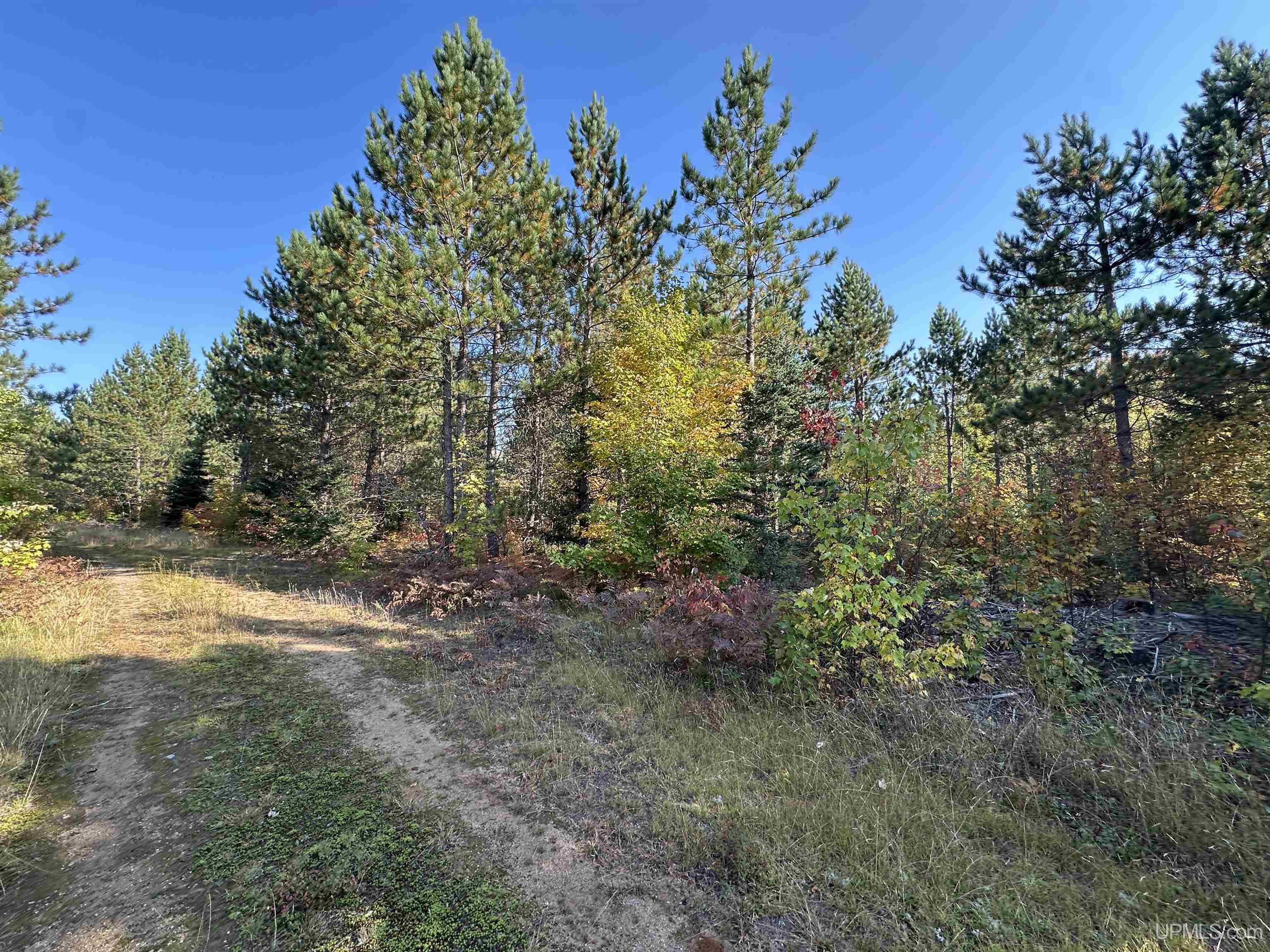 MLS 50086996 Large photo number 51 