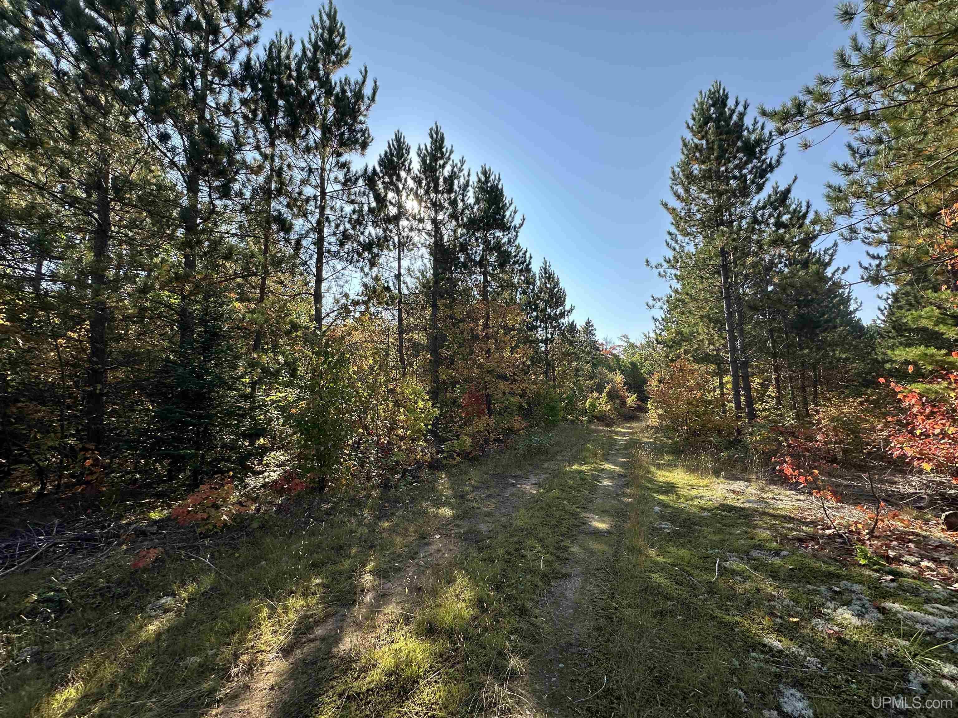 MLS 50086996 Large photo number 52 