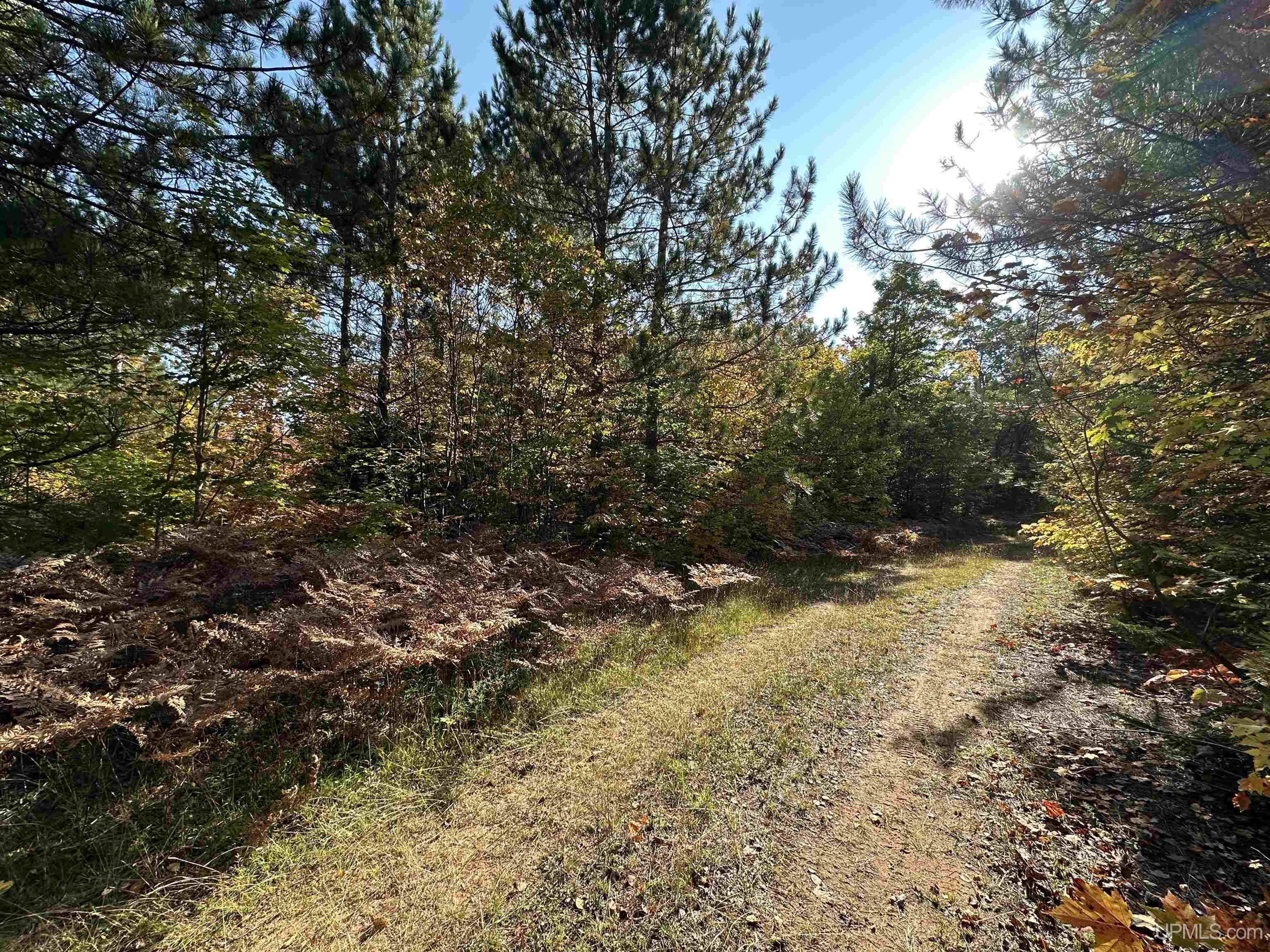 MLS 50086996 Large photo number 53 