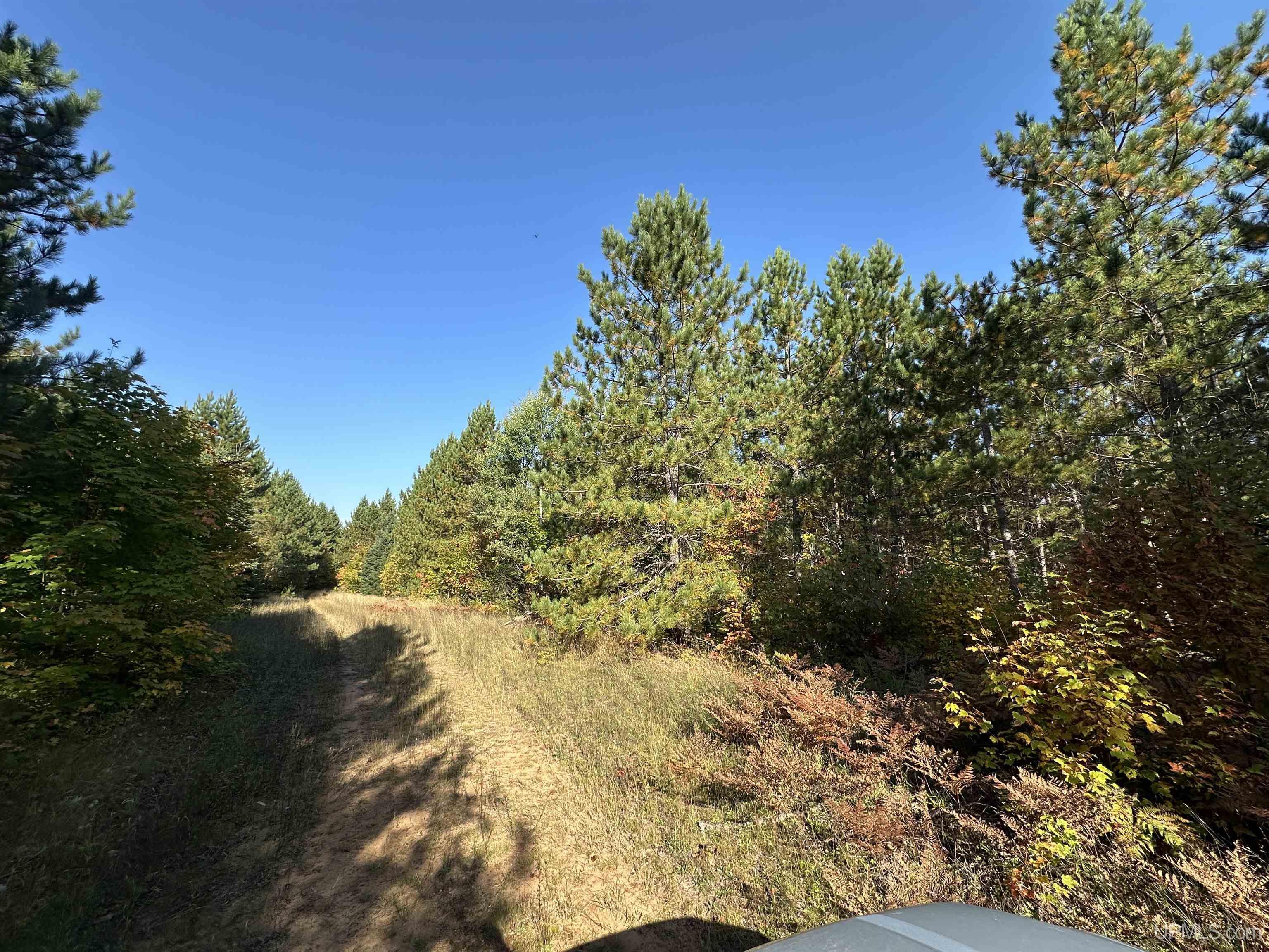 MLS 50086996 Large photo number 54 
