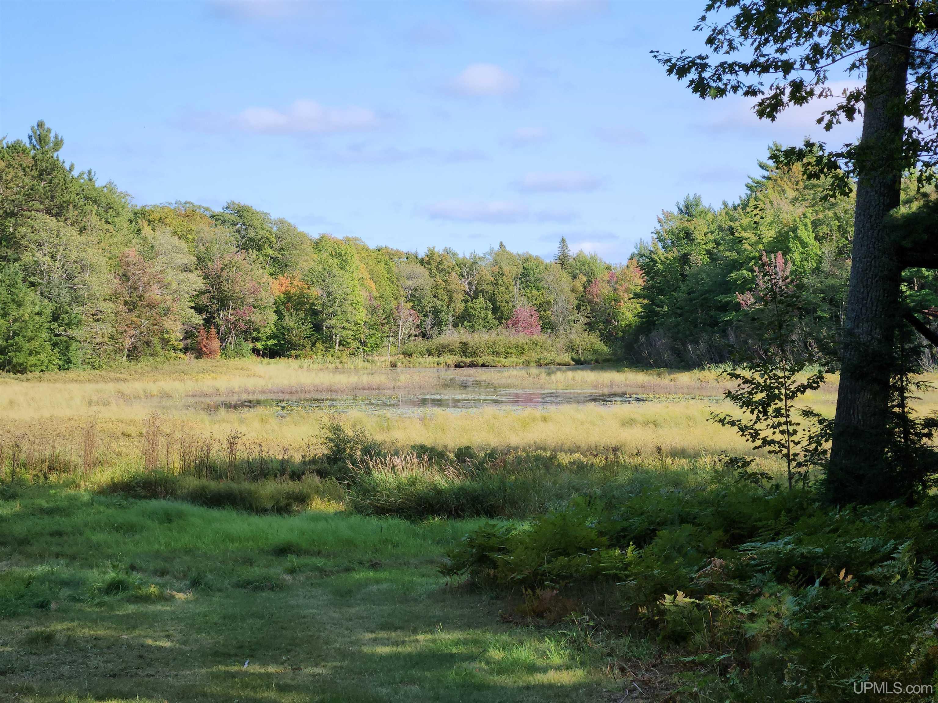 MLS 50091403 Large photo number 33 