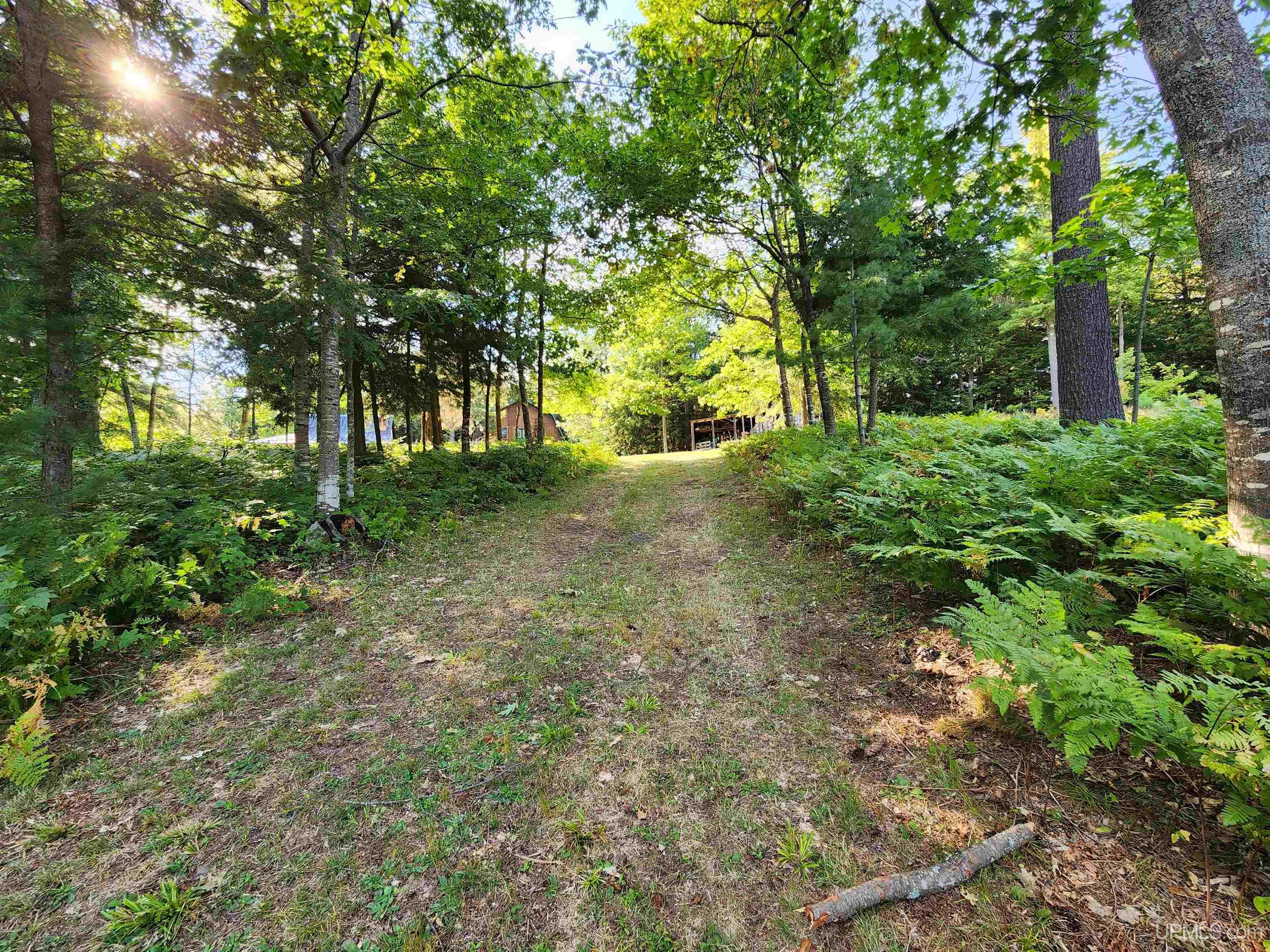 MLS 50091403 Large photo number 35 
