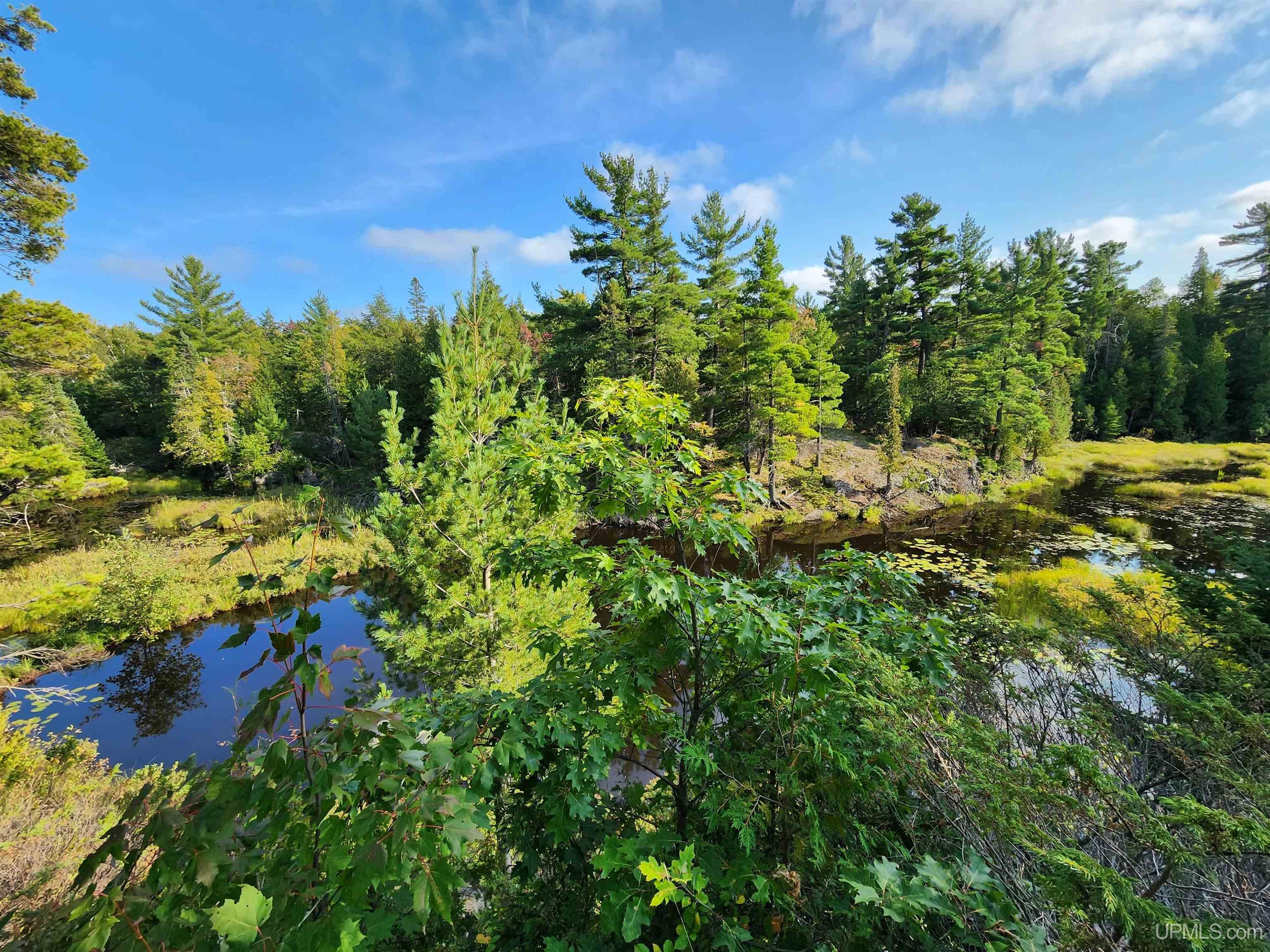 MLS 50091403 Large photo number 62 