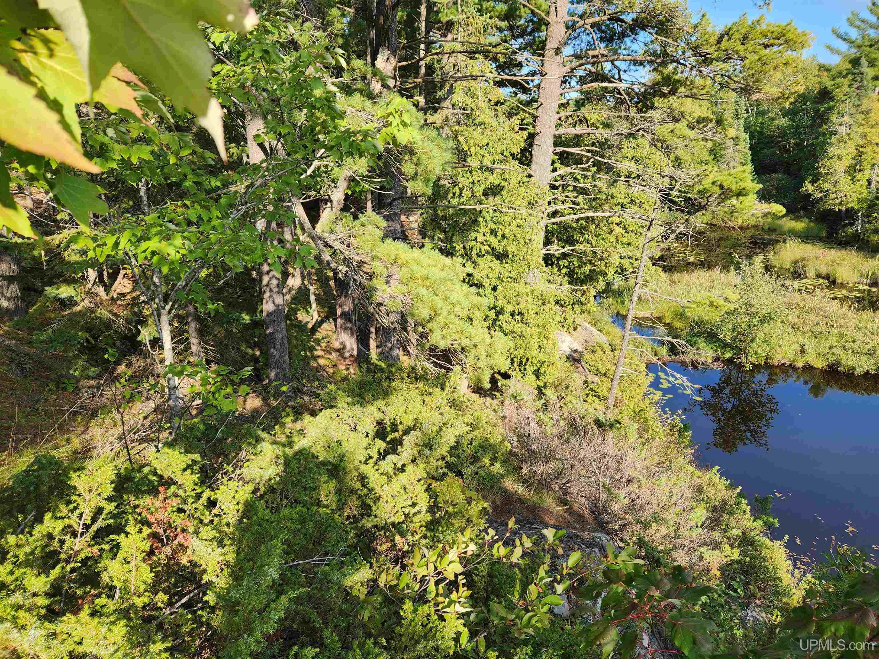 MLS 50091403 Large photo number 68 