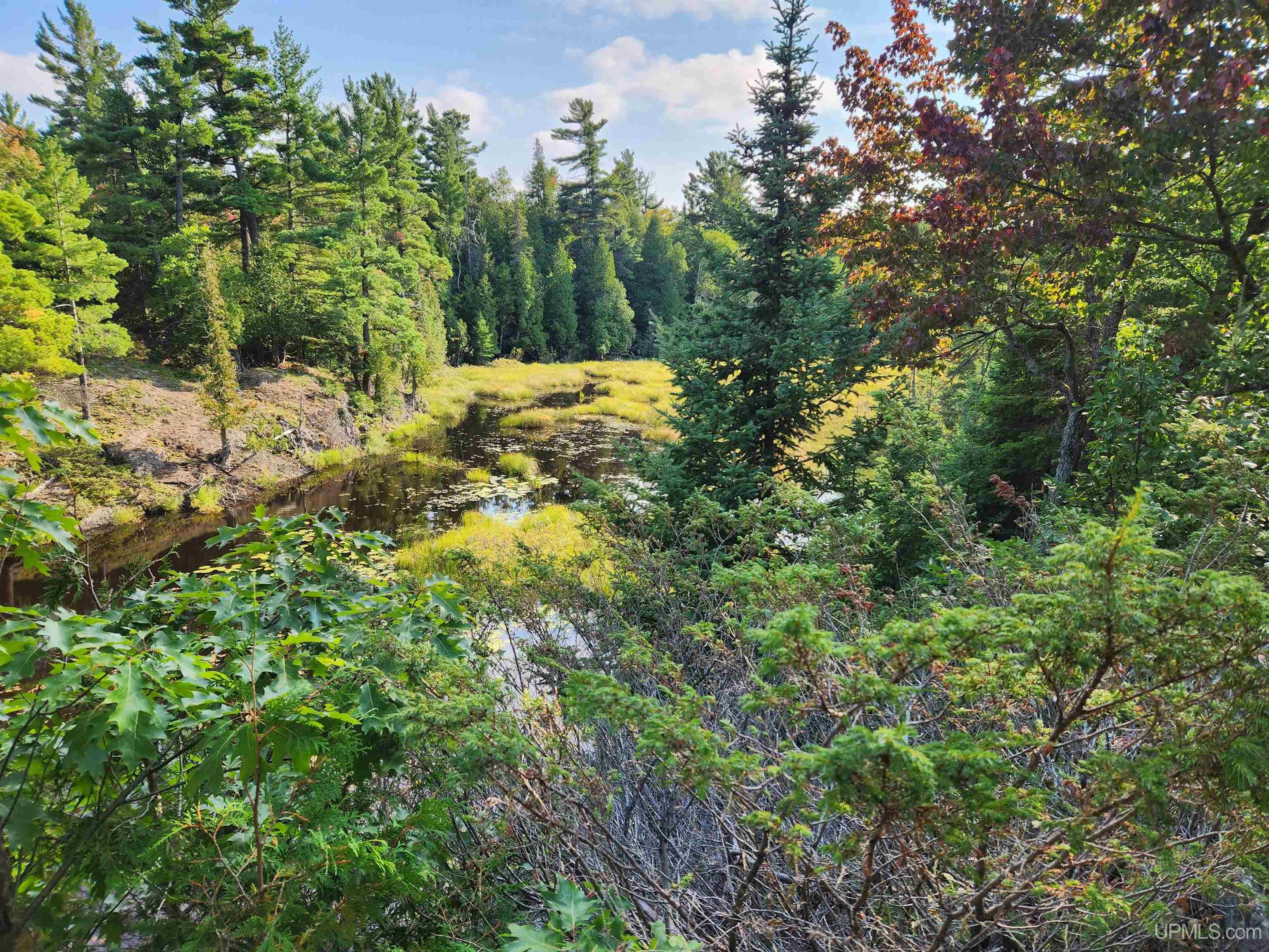 MLS 50091403 Large photo number 69 