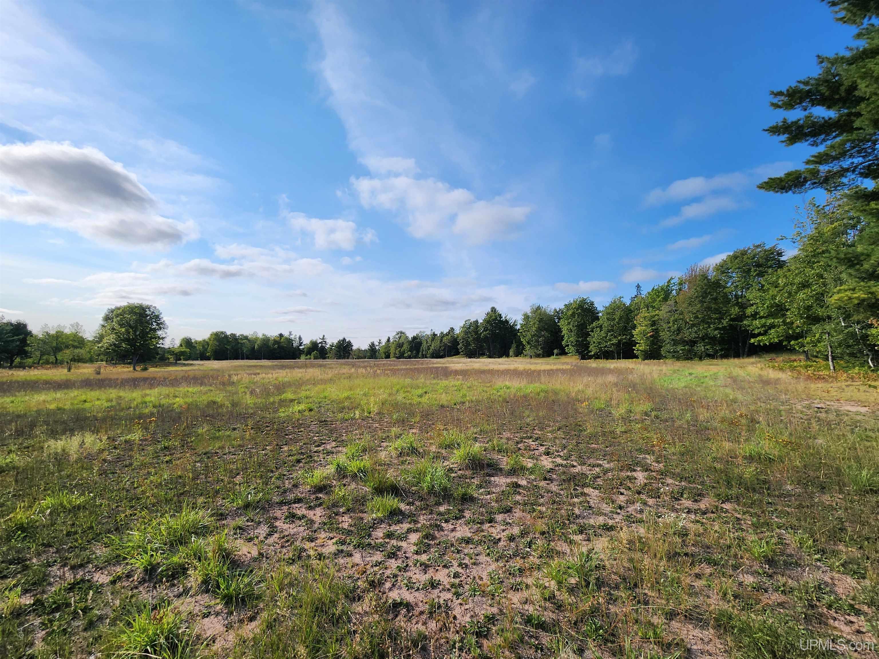 MLS 50091403 Large photo number 74 