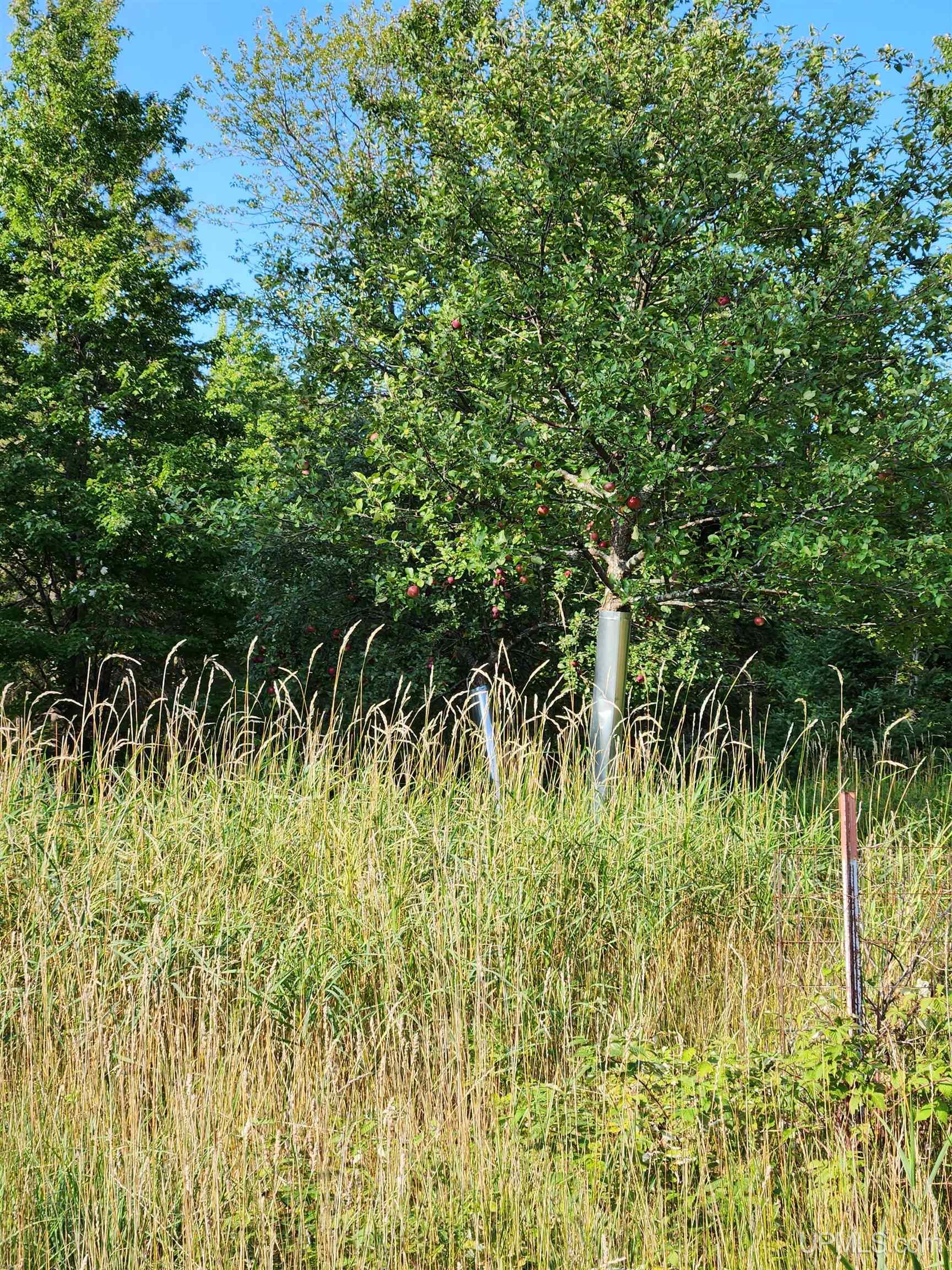 MLS 50091403 Large photo number 77 