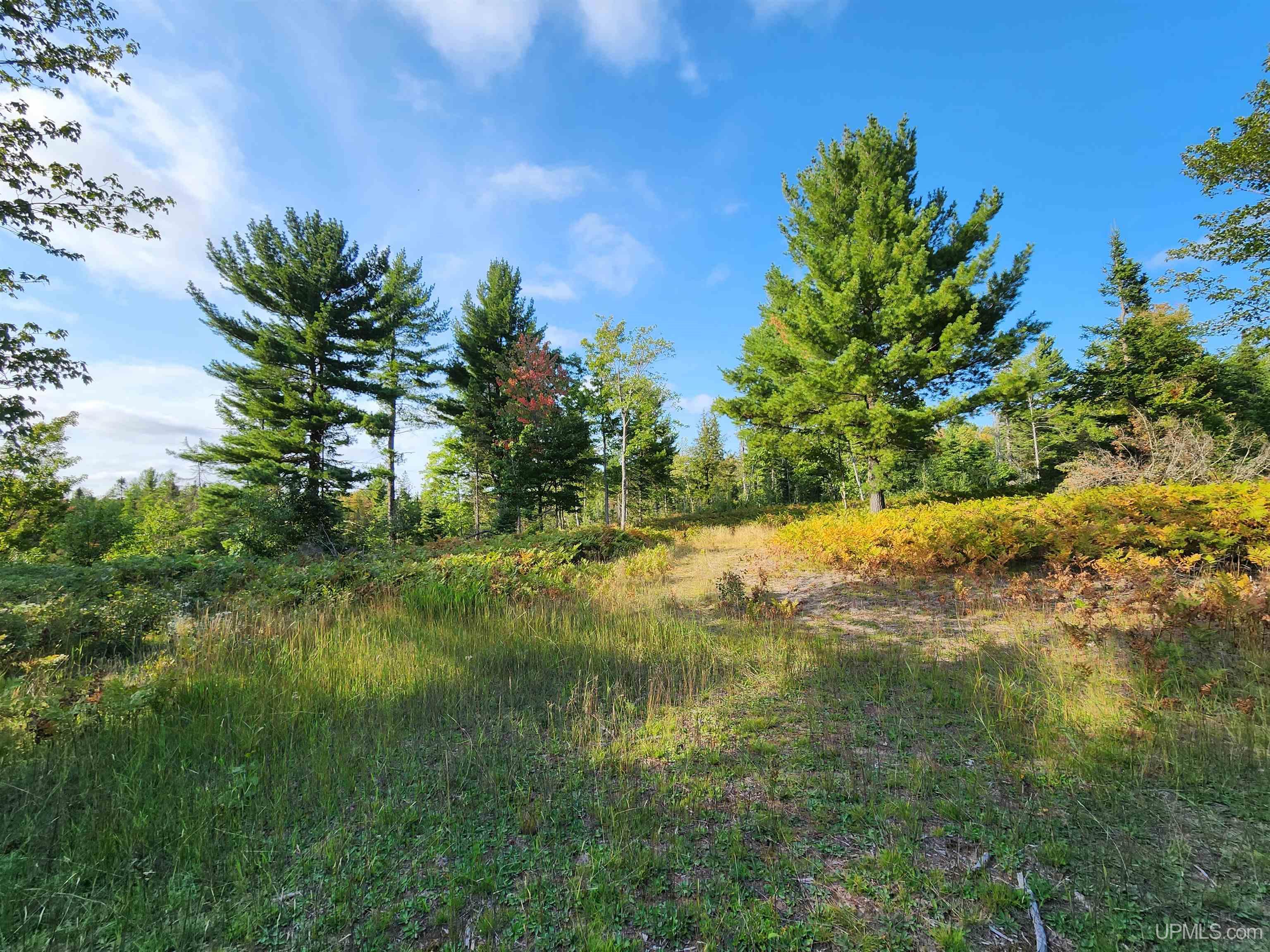 MLS 50091403 Large photo number 78 