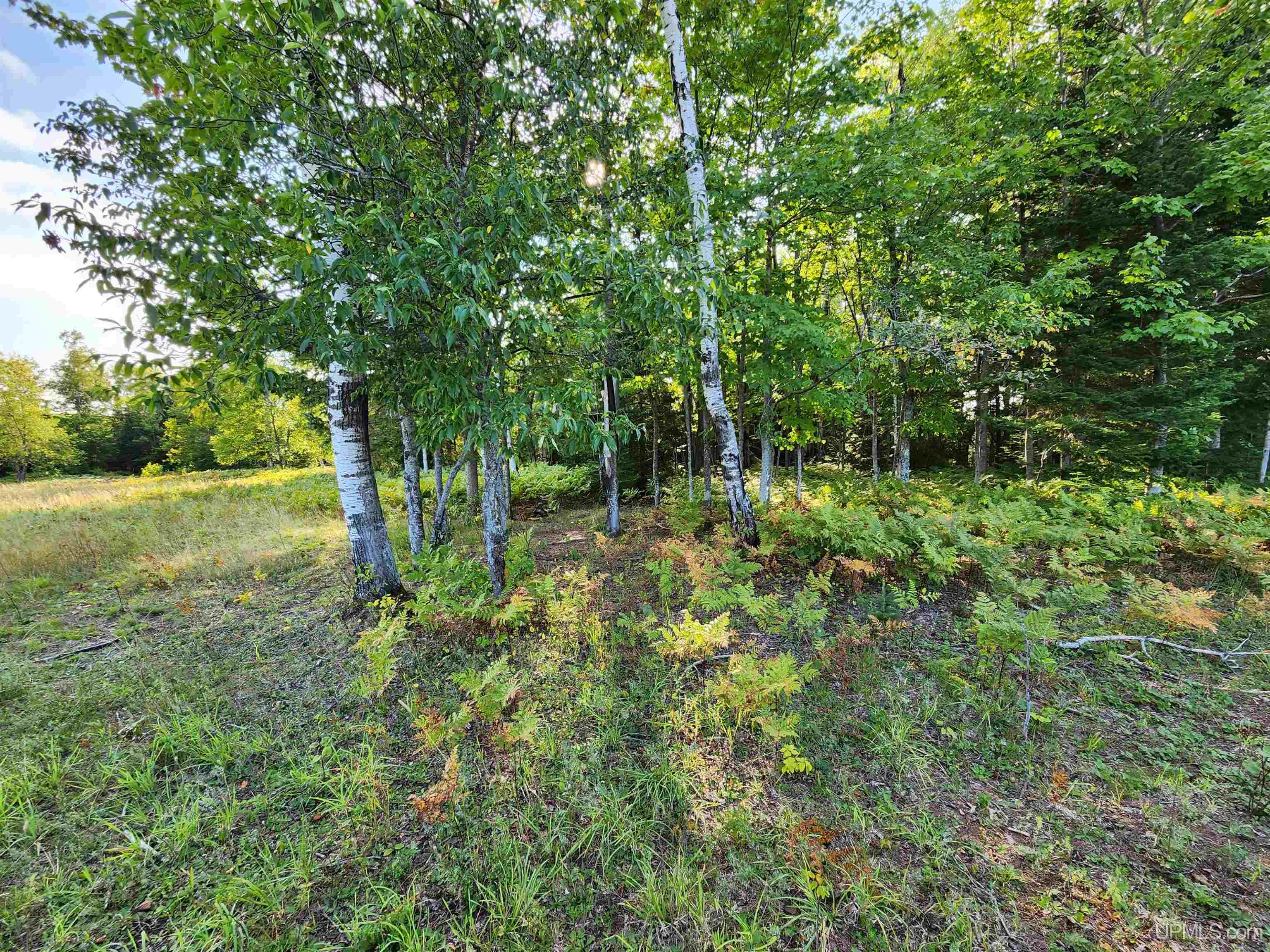 MLS 50091403 Large photo number 79 