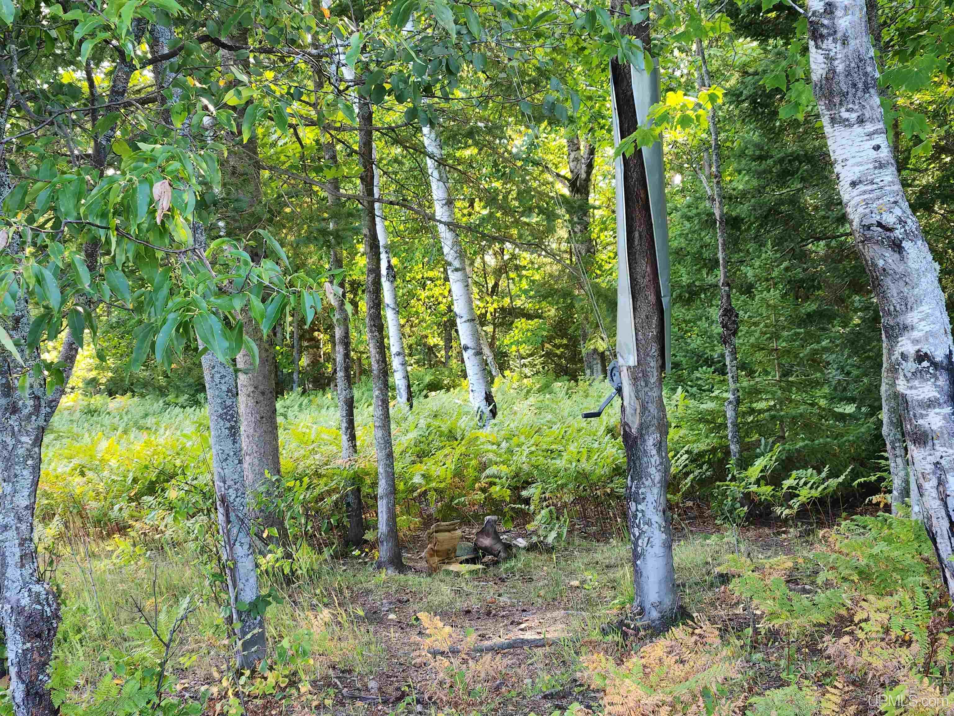 MLS 50091403 Large photo number 81 