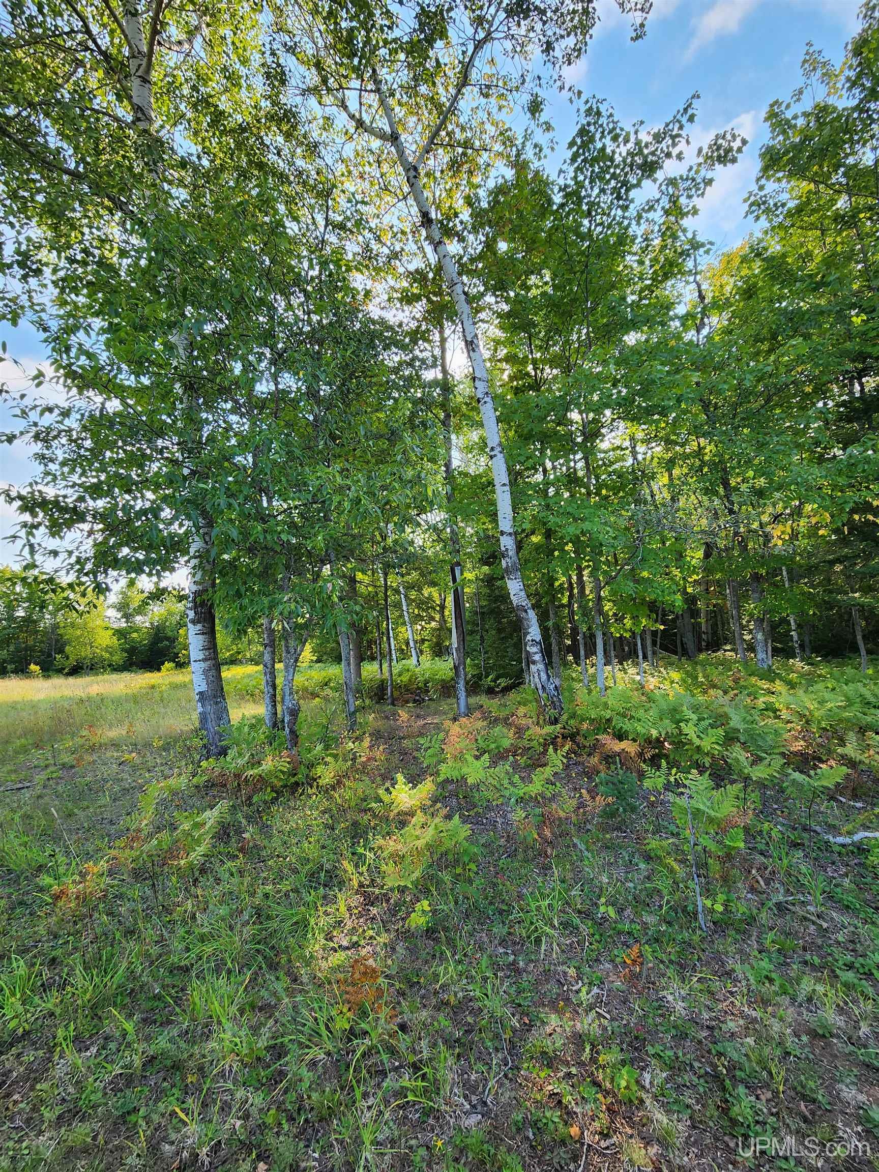 MLS 50091403 Large photo number 82 