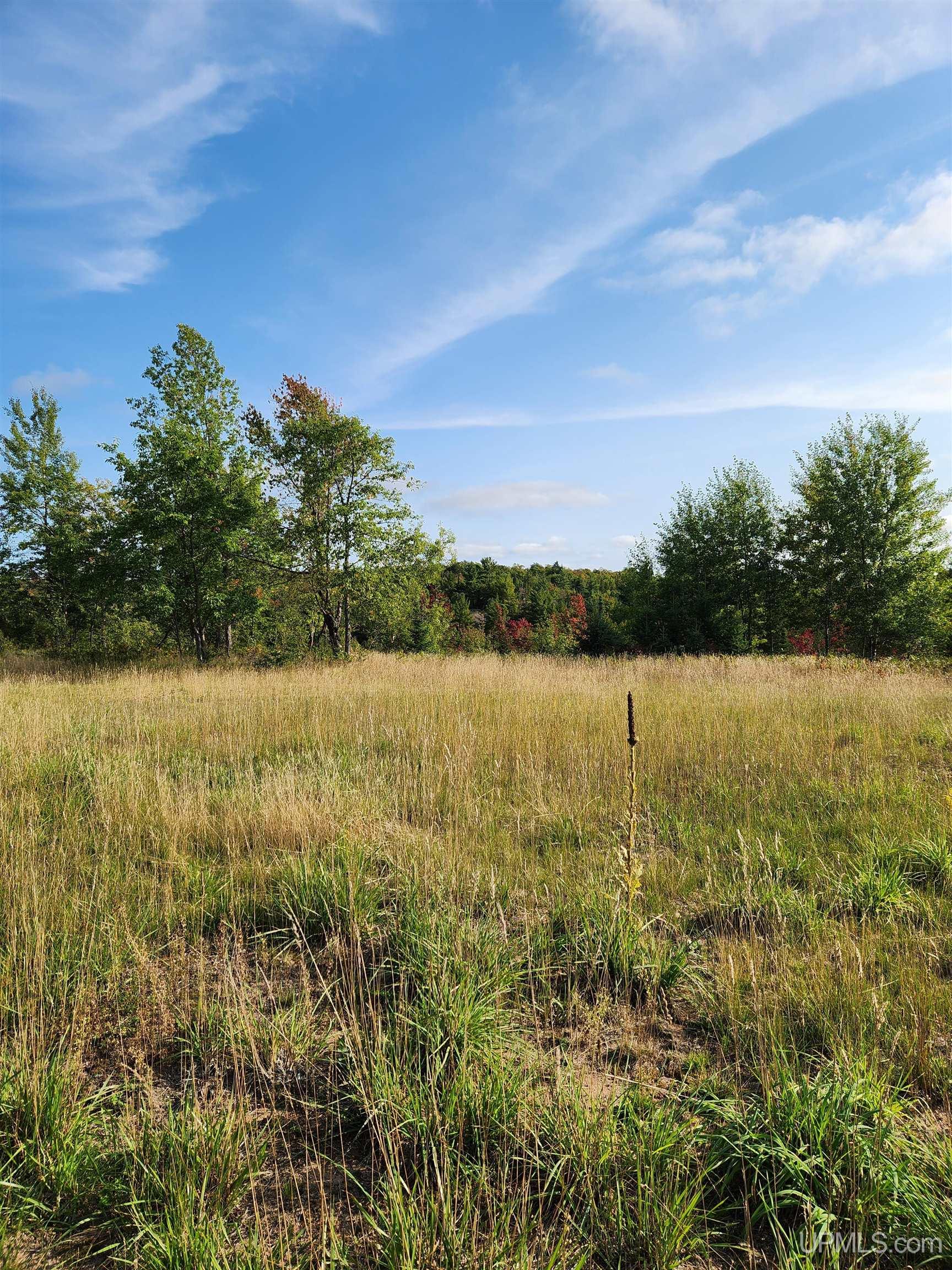 MLS 50091403 Large photo number 84 
