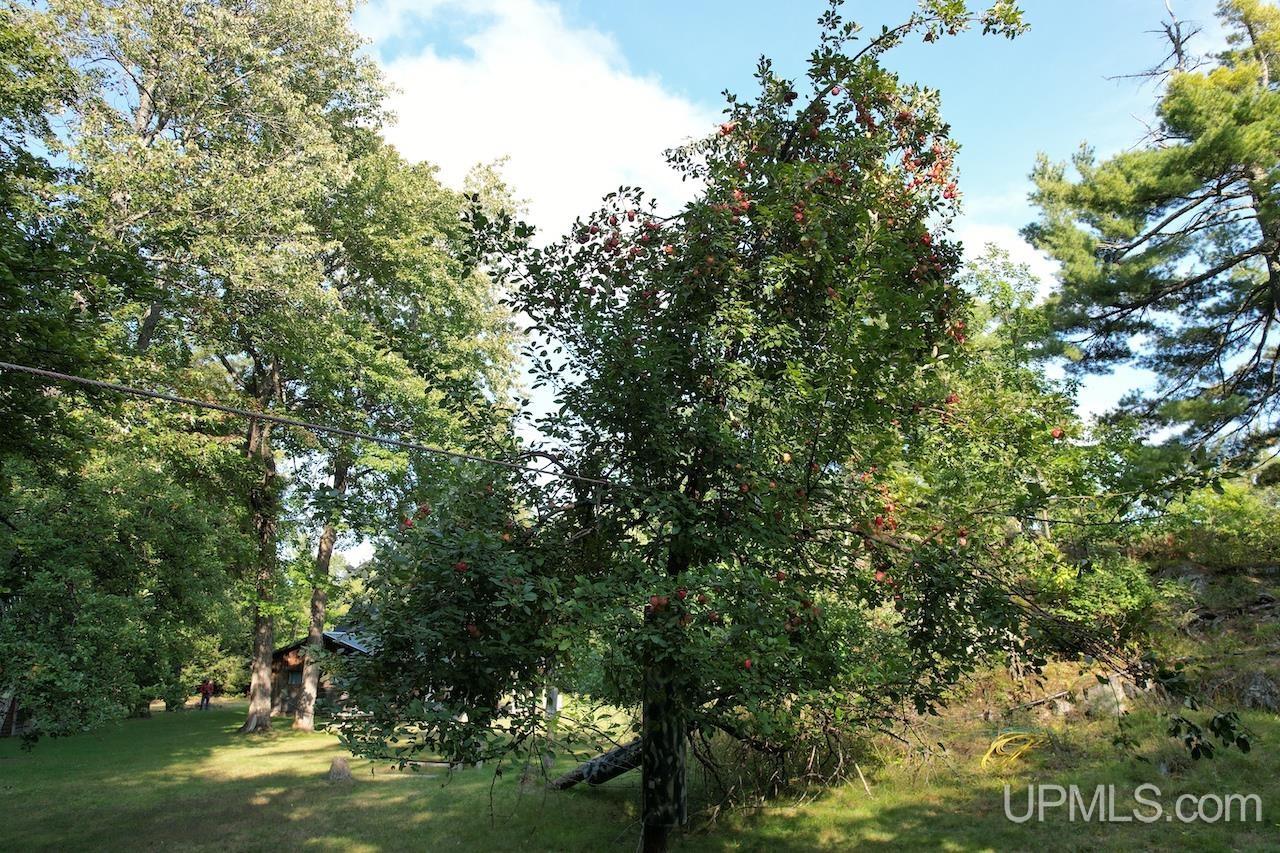 MLS 50091403 Large photo number 92 