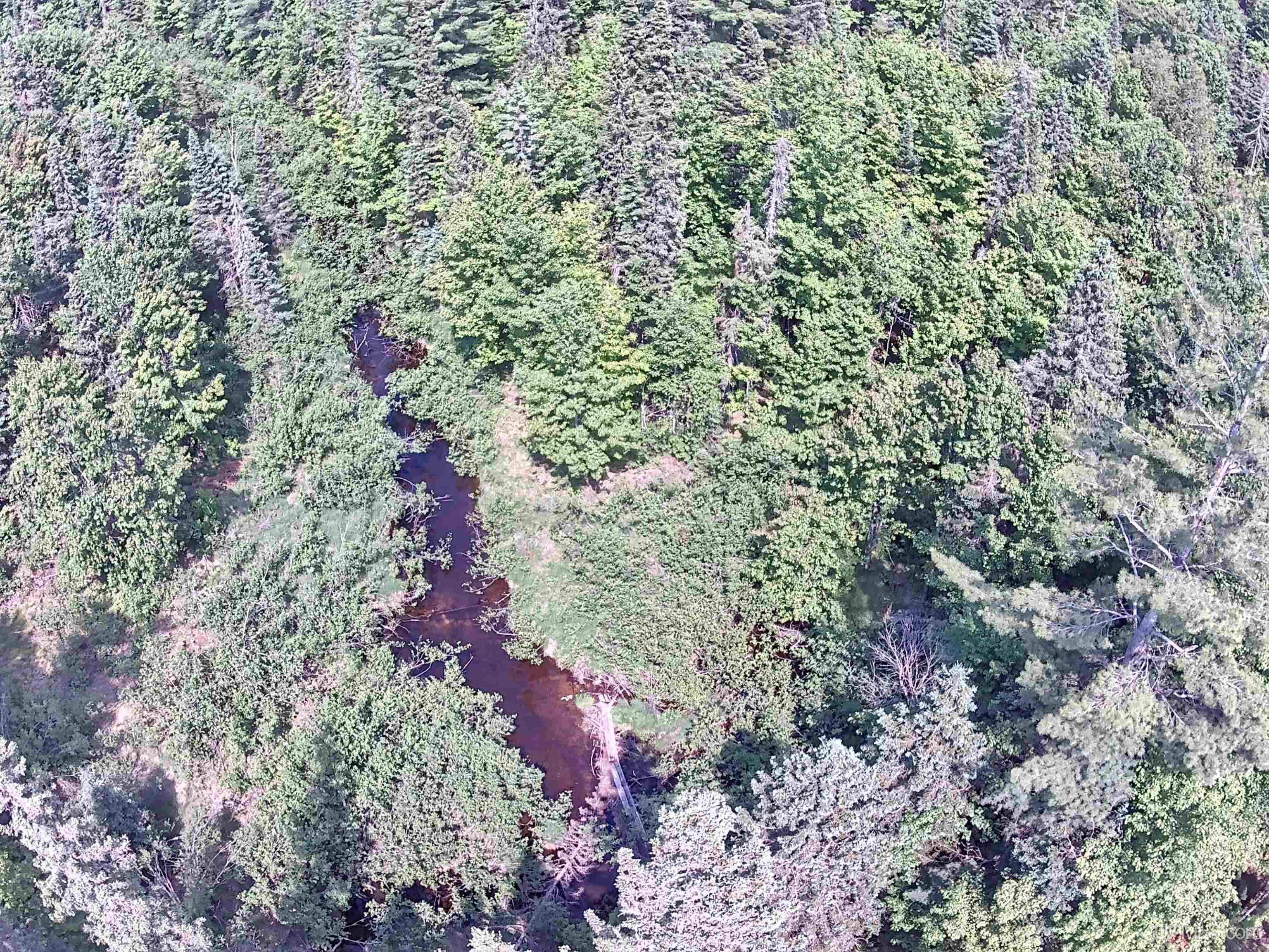 Land Listing MLS Number 50093177