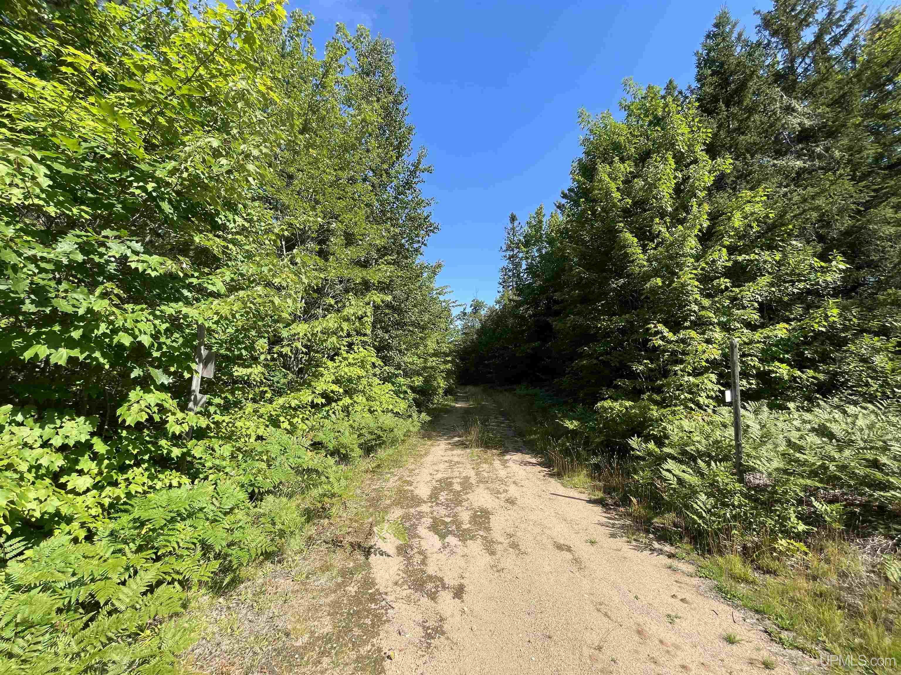 MLS 50093177 Large photo number 11 