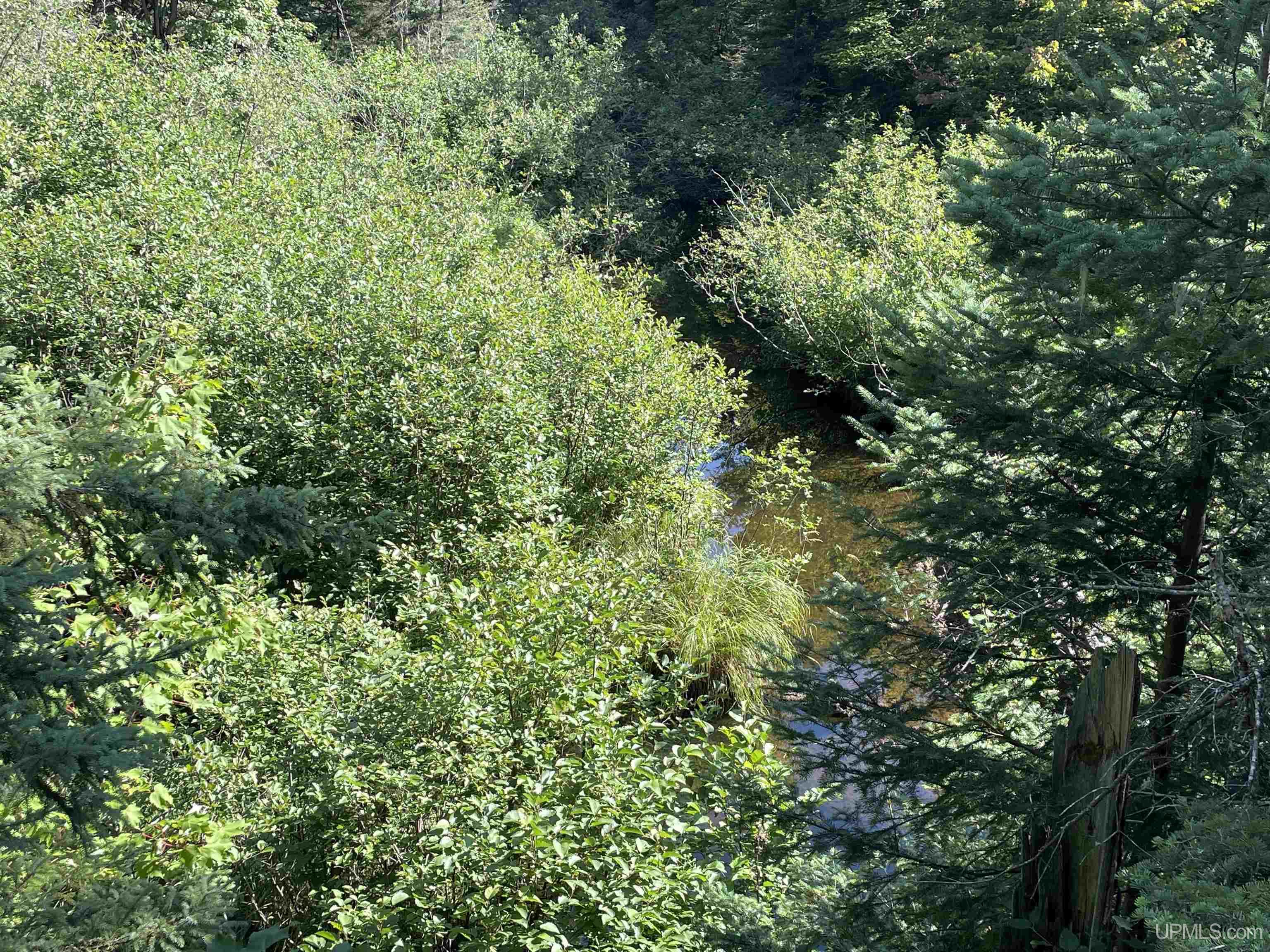 MLS 50093177 Large photo number 25 