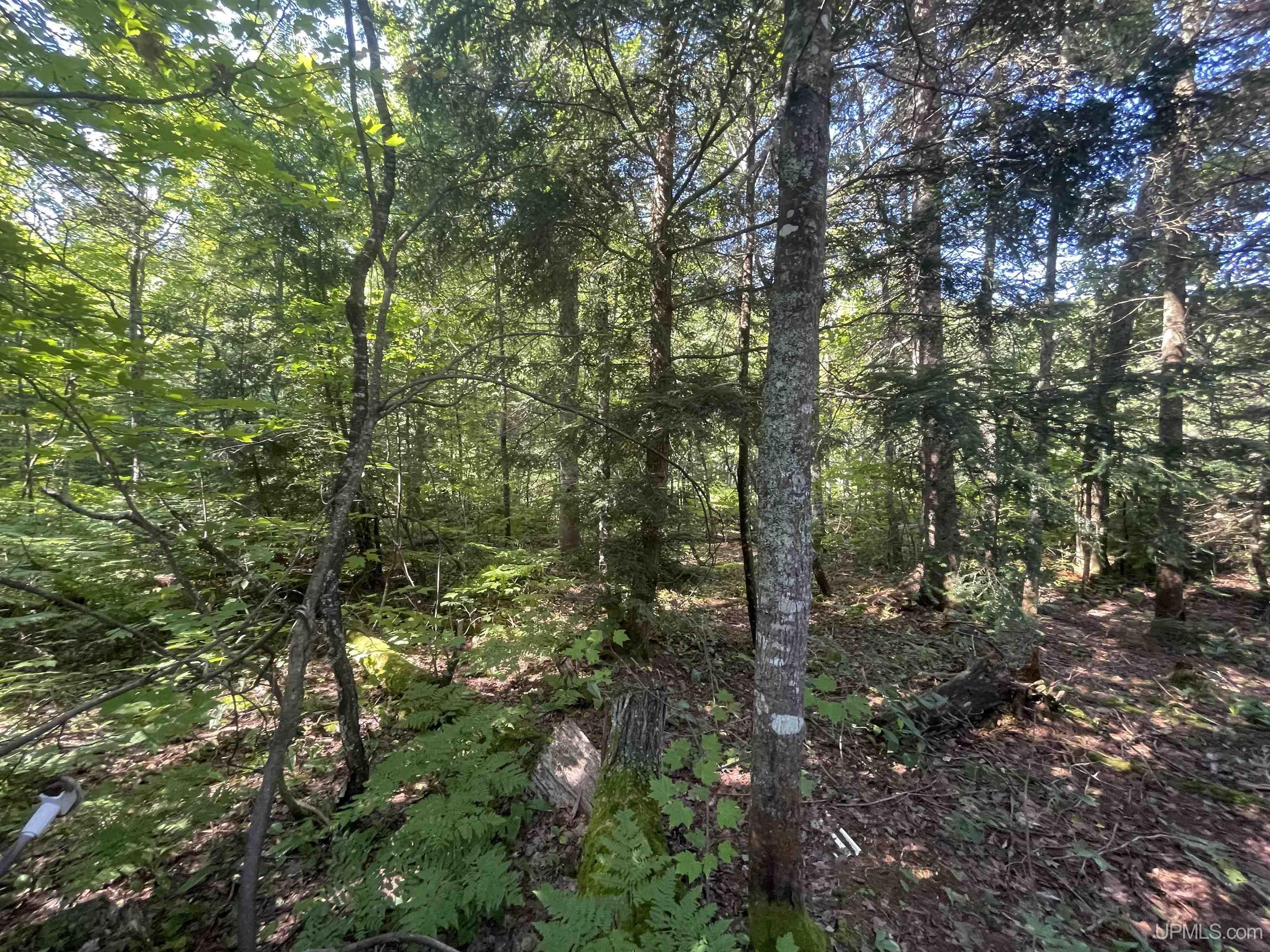 MLS 50093177 Large photo number 26 