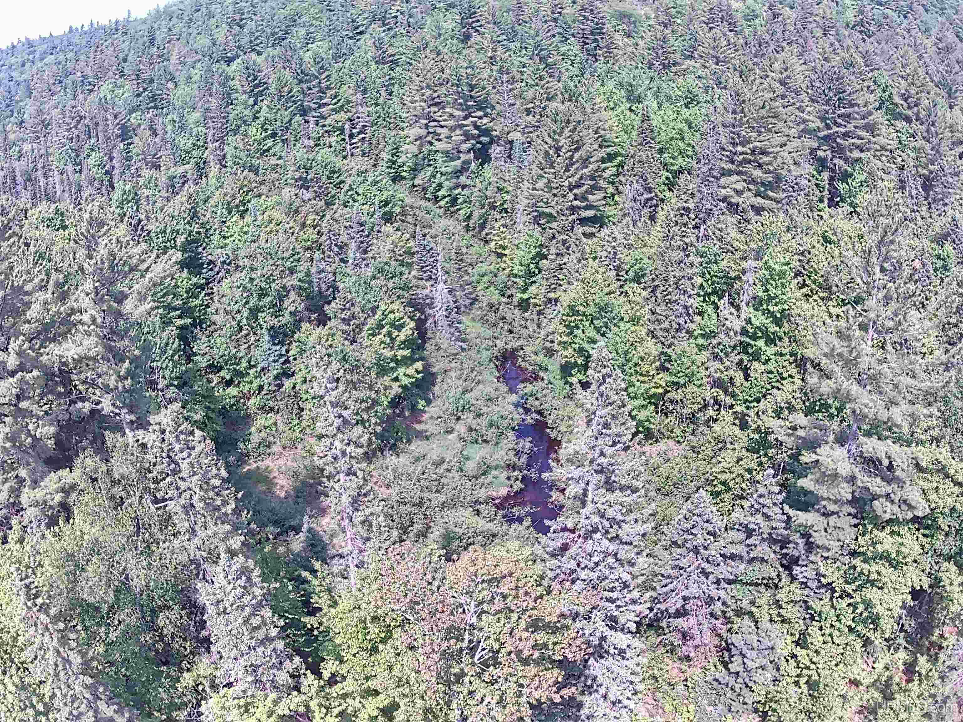 MLS 50093177 Large photo number 5 