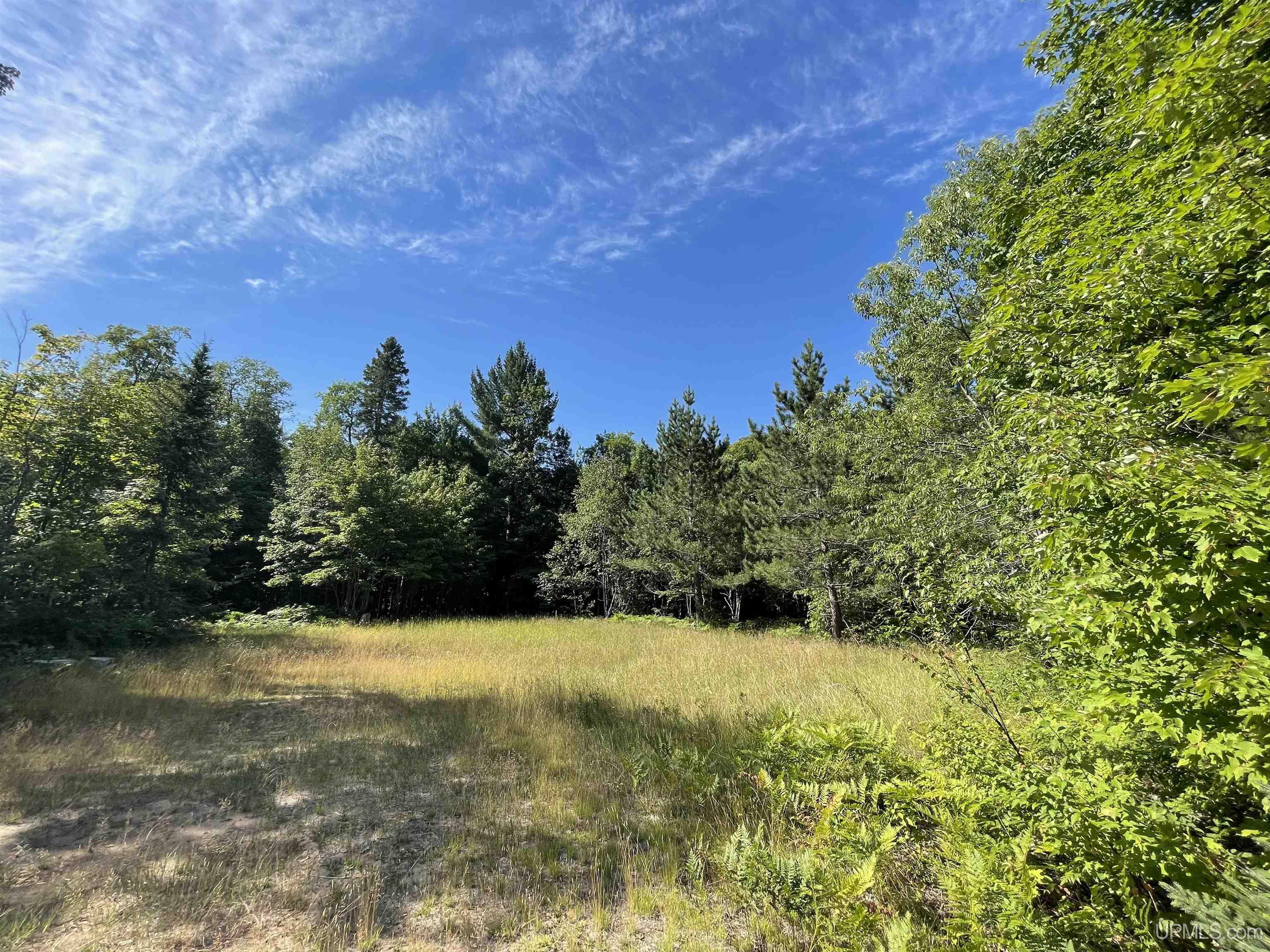 MLS 50093177 Large photo number 9 