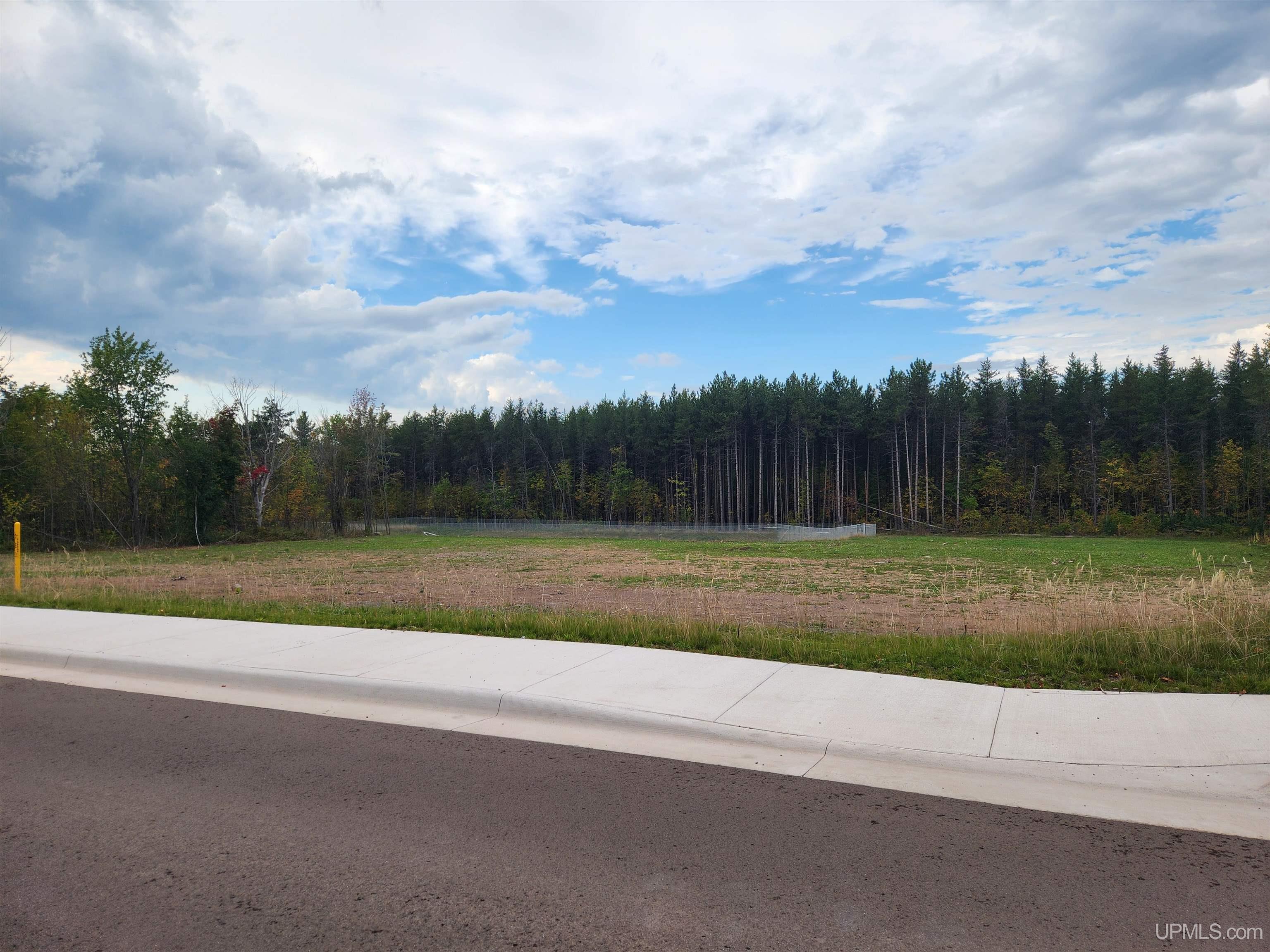MLS 50100344 Large photo number 33 