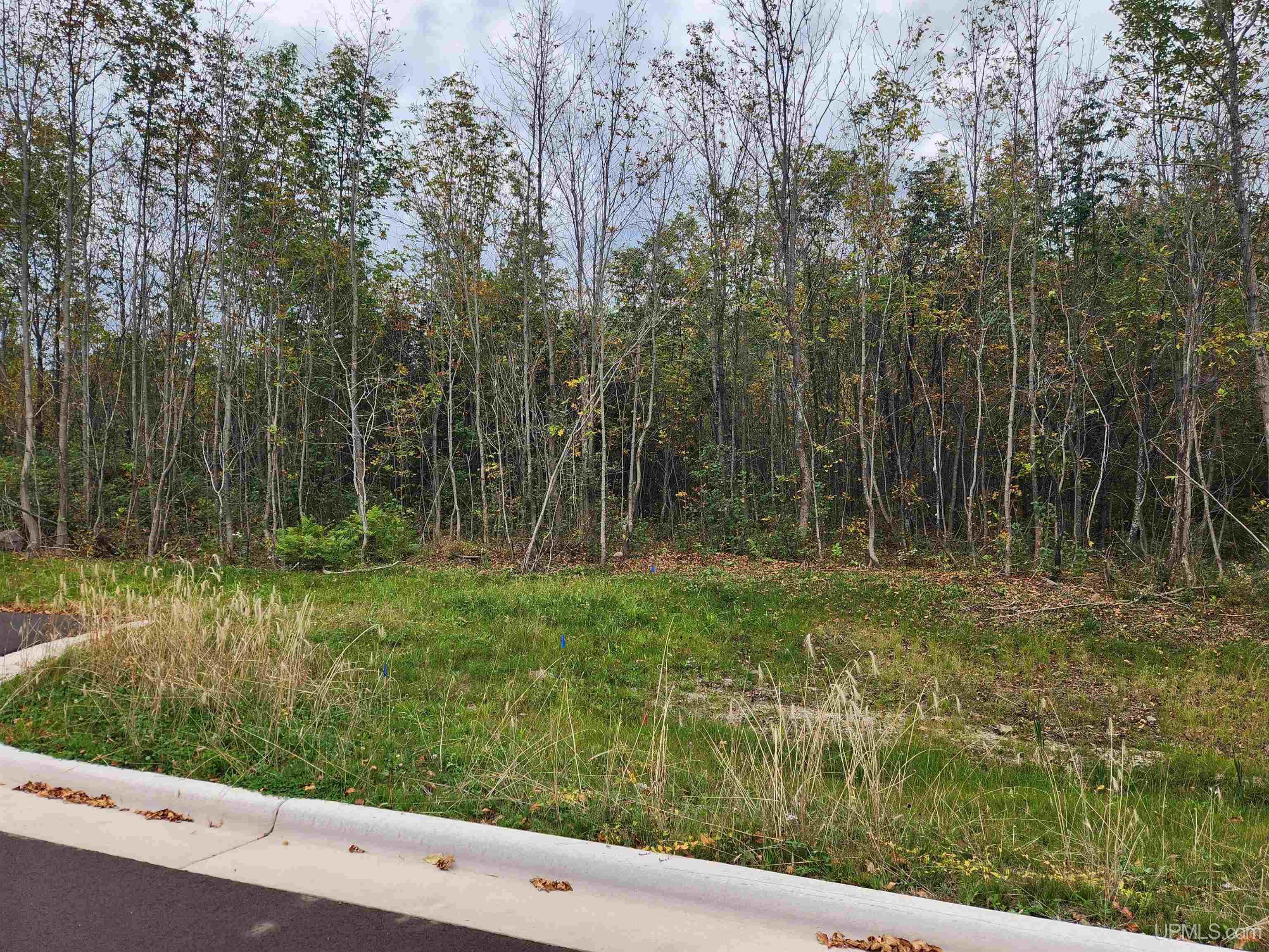 MLS 50100345 Large photo number 33 