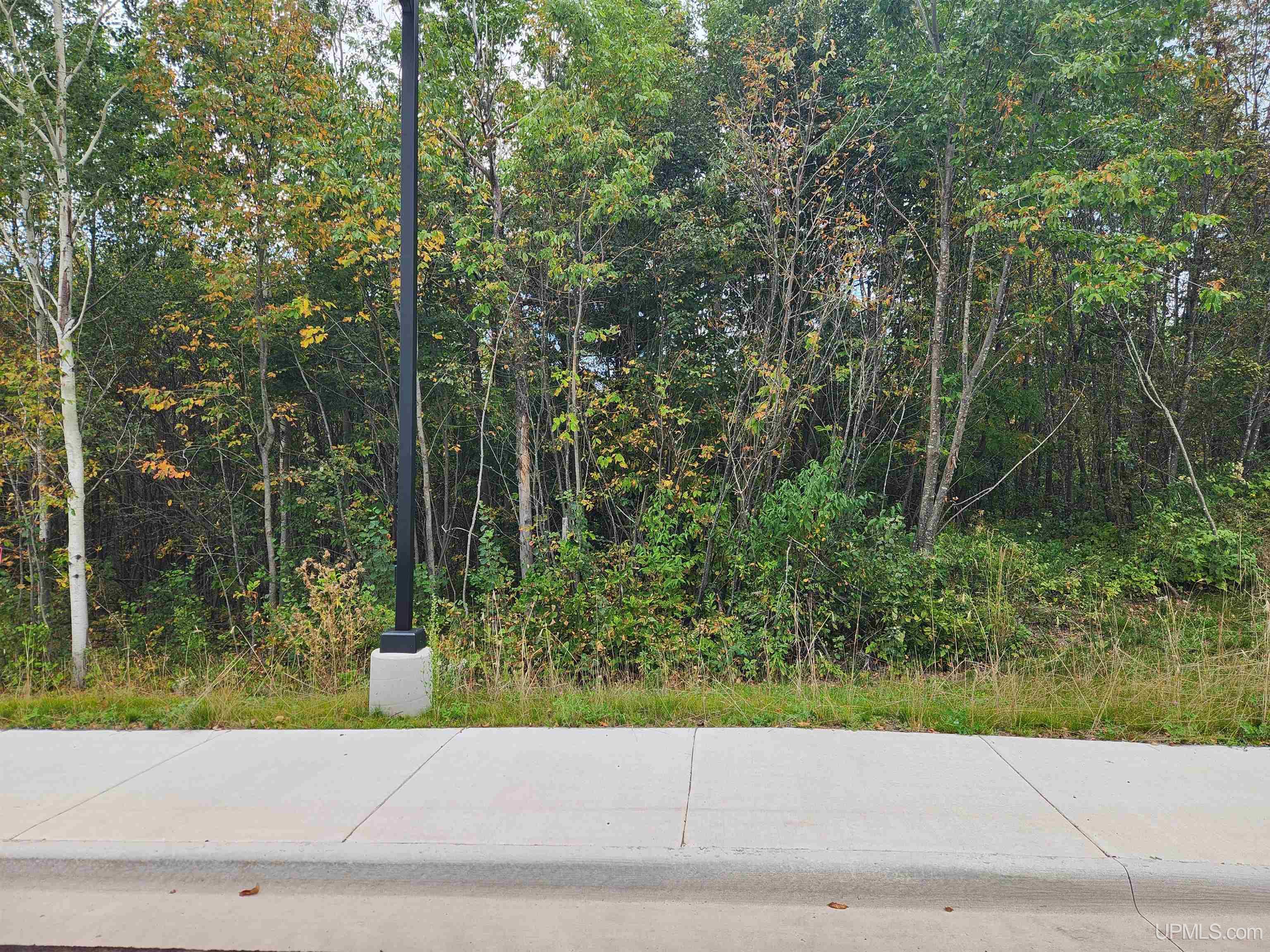 MLS 50100349 Large photo number 29 