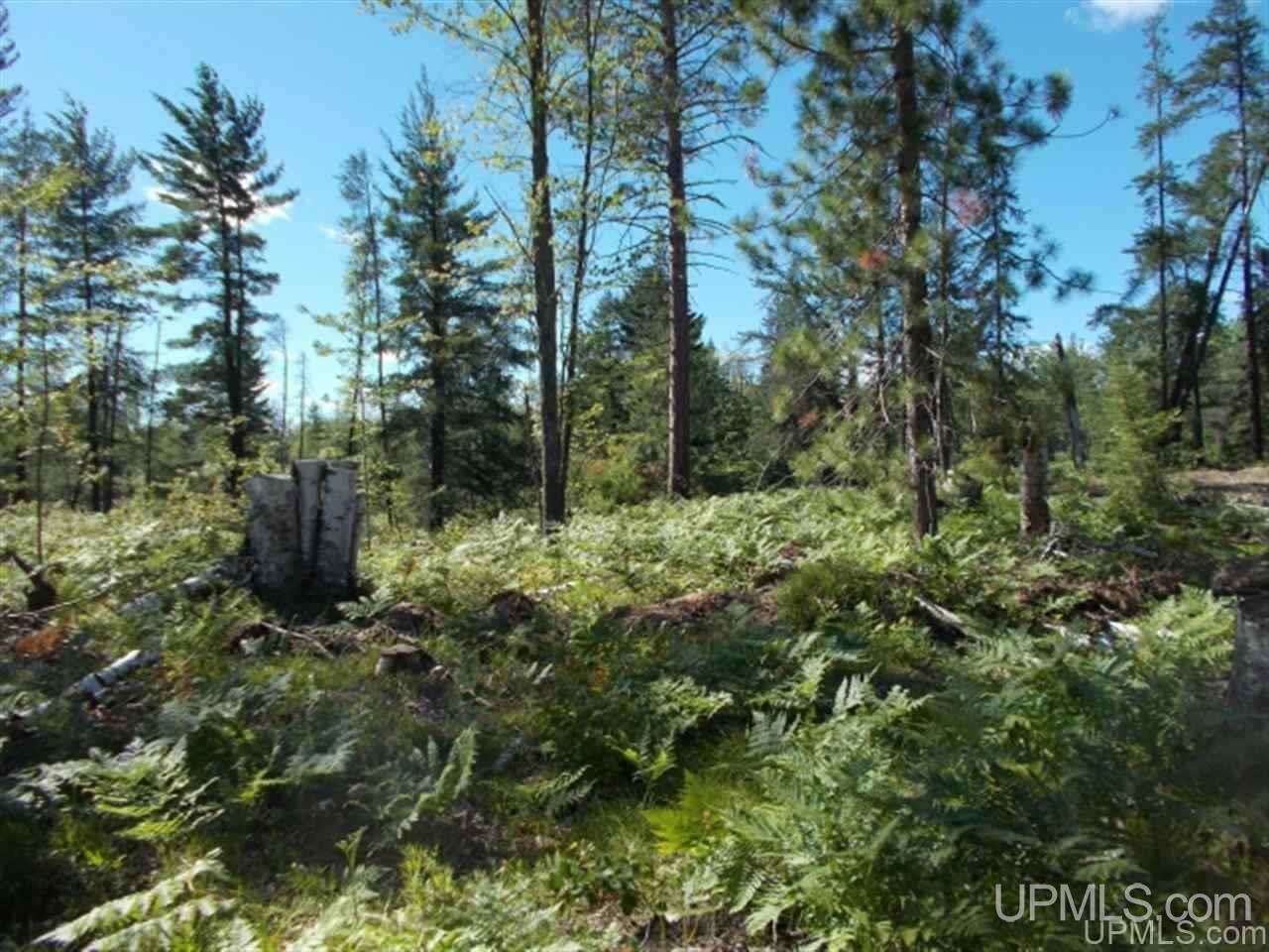 MLS 50103614 Large photo number 16 