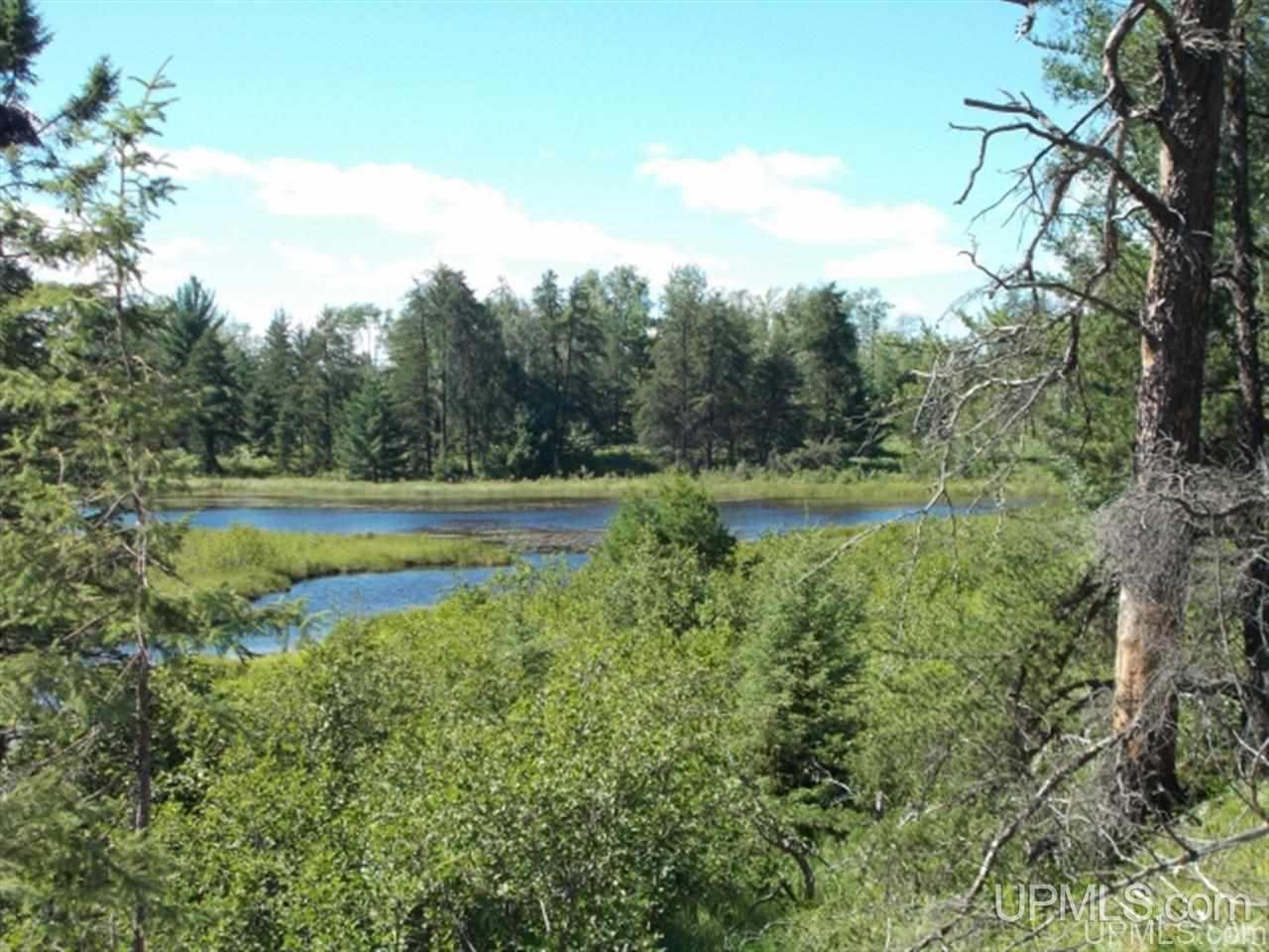 MLS 50103614 Large photo number 20 