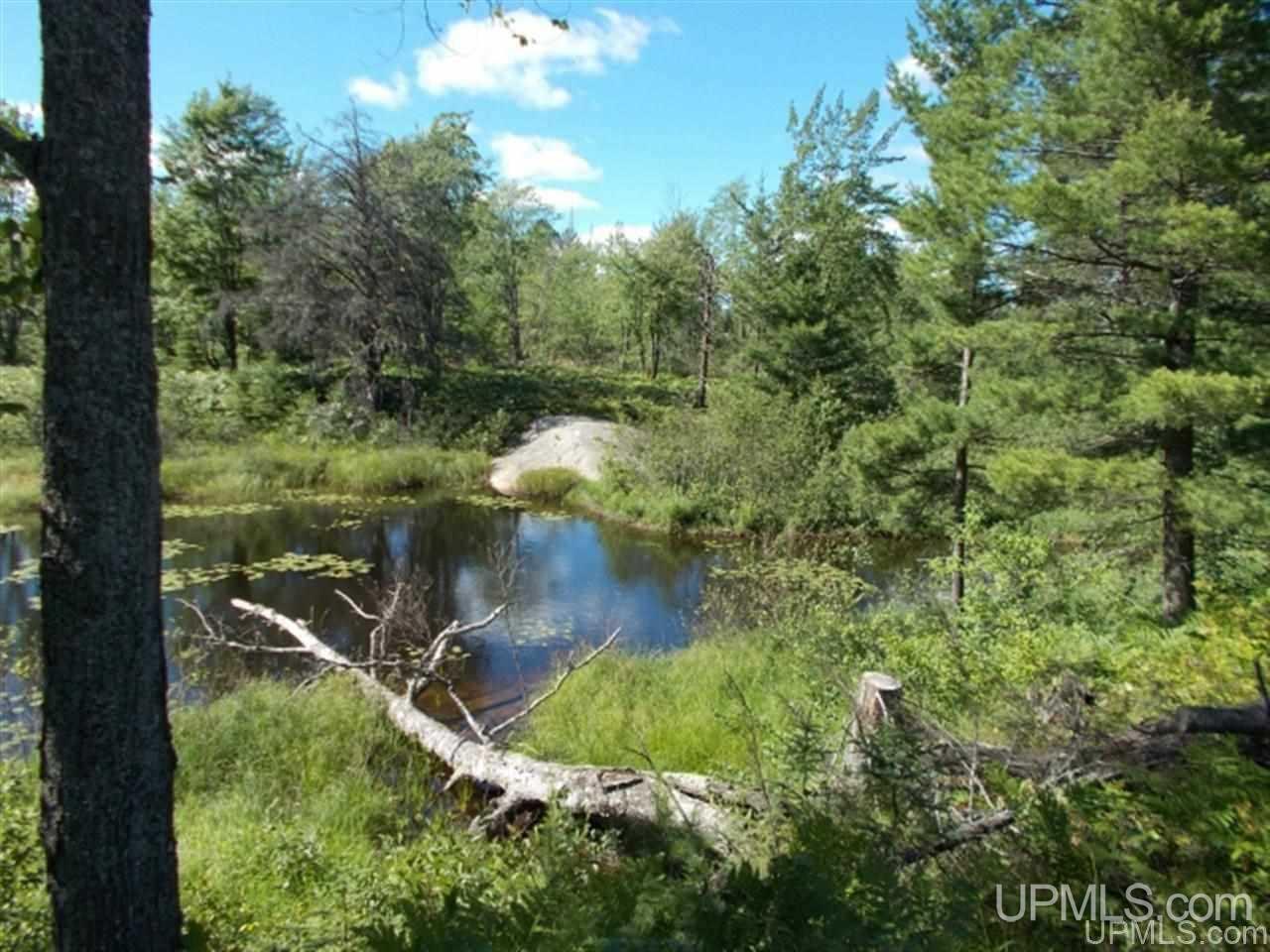 MLS 50103614 Large photo number 21 