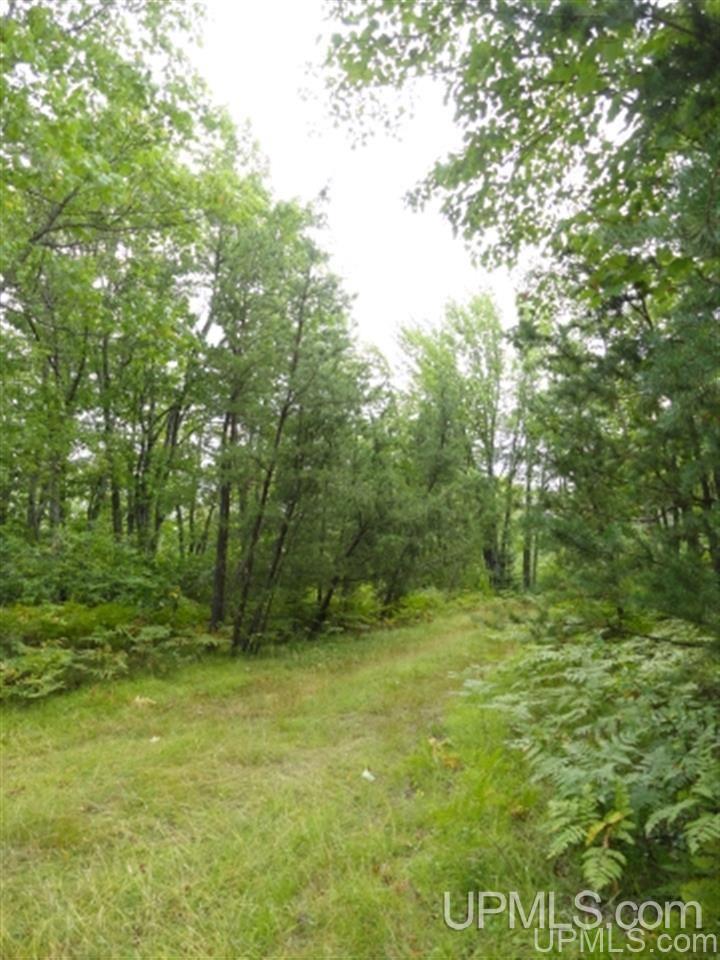 MLS 50103614 Large photo number 28 