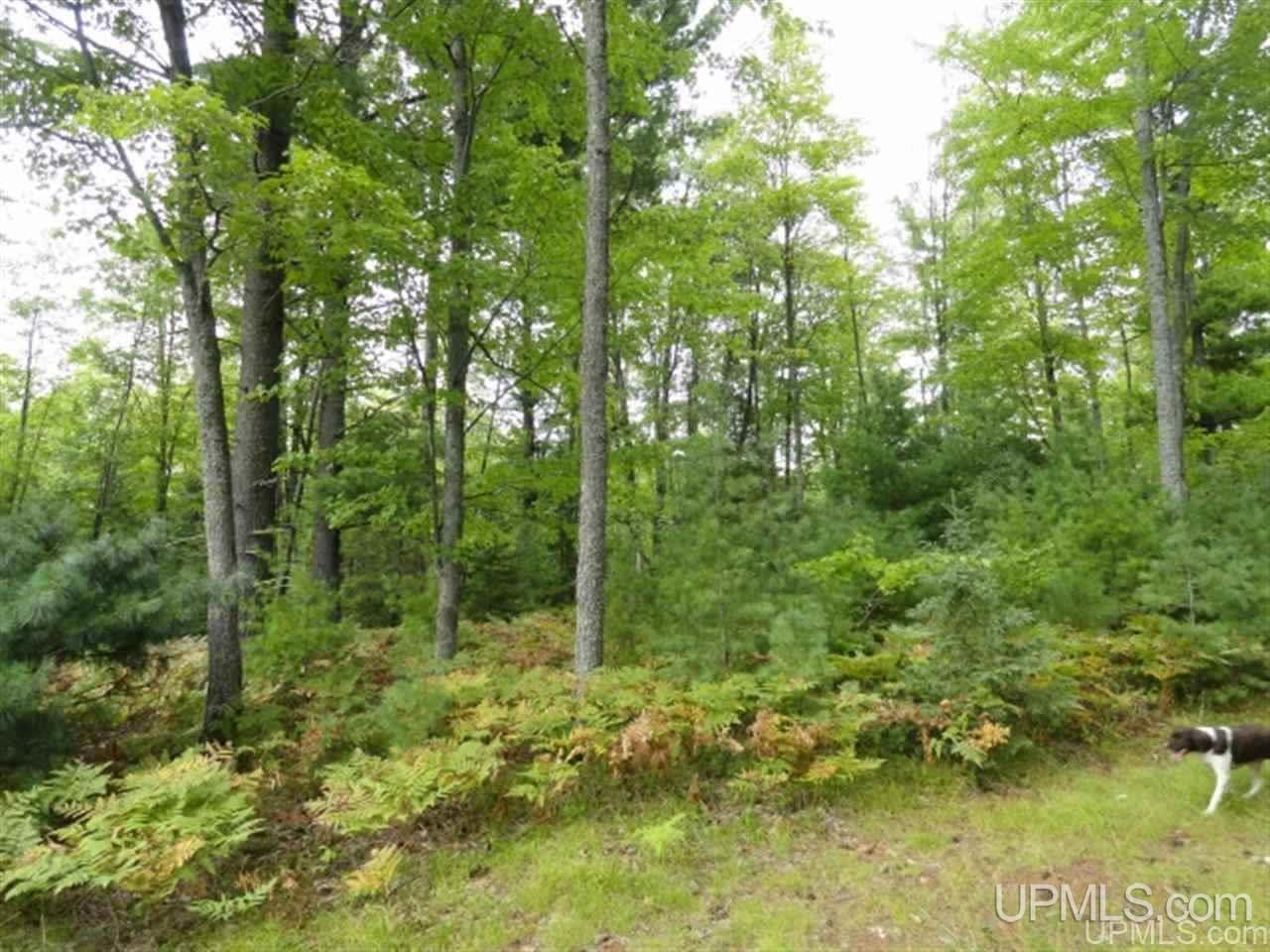 MLS 50103614 Large photo number 7 