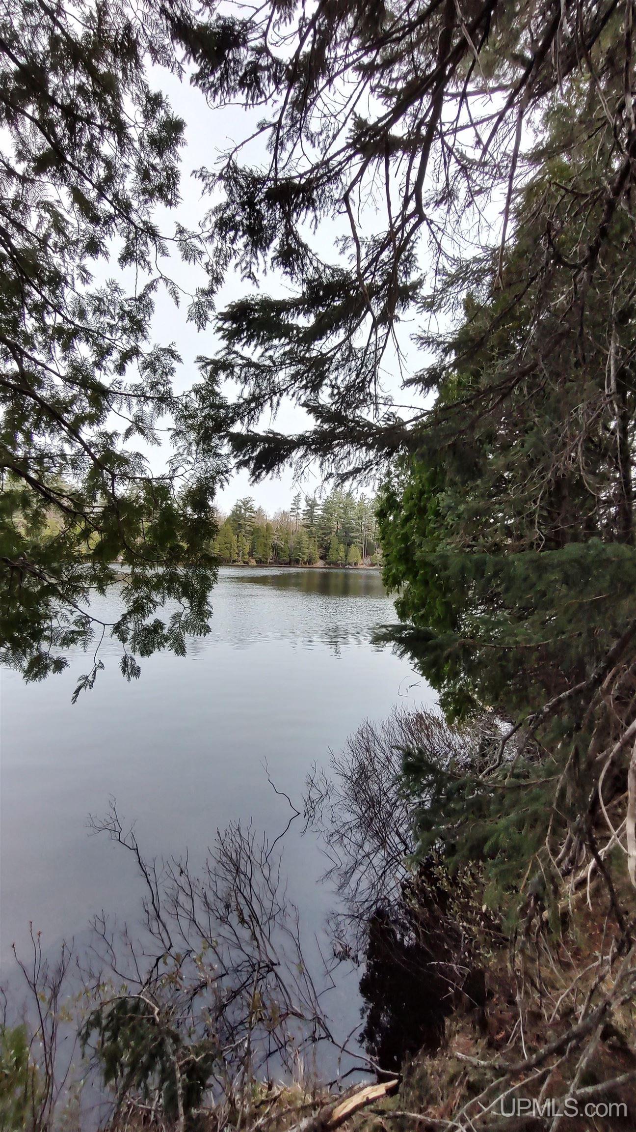 MLS 50106876 Large photo number 17 