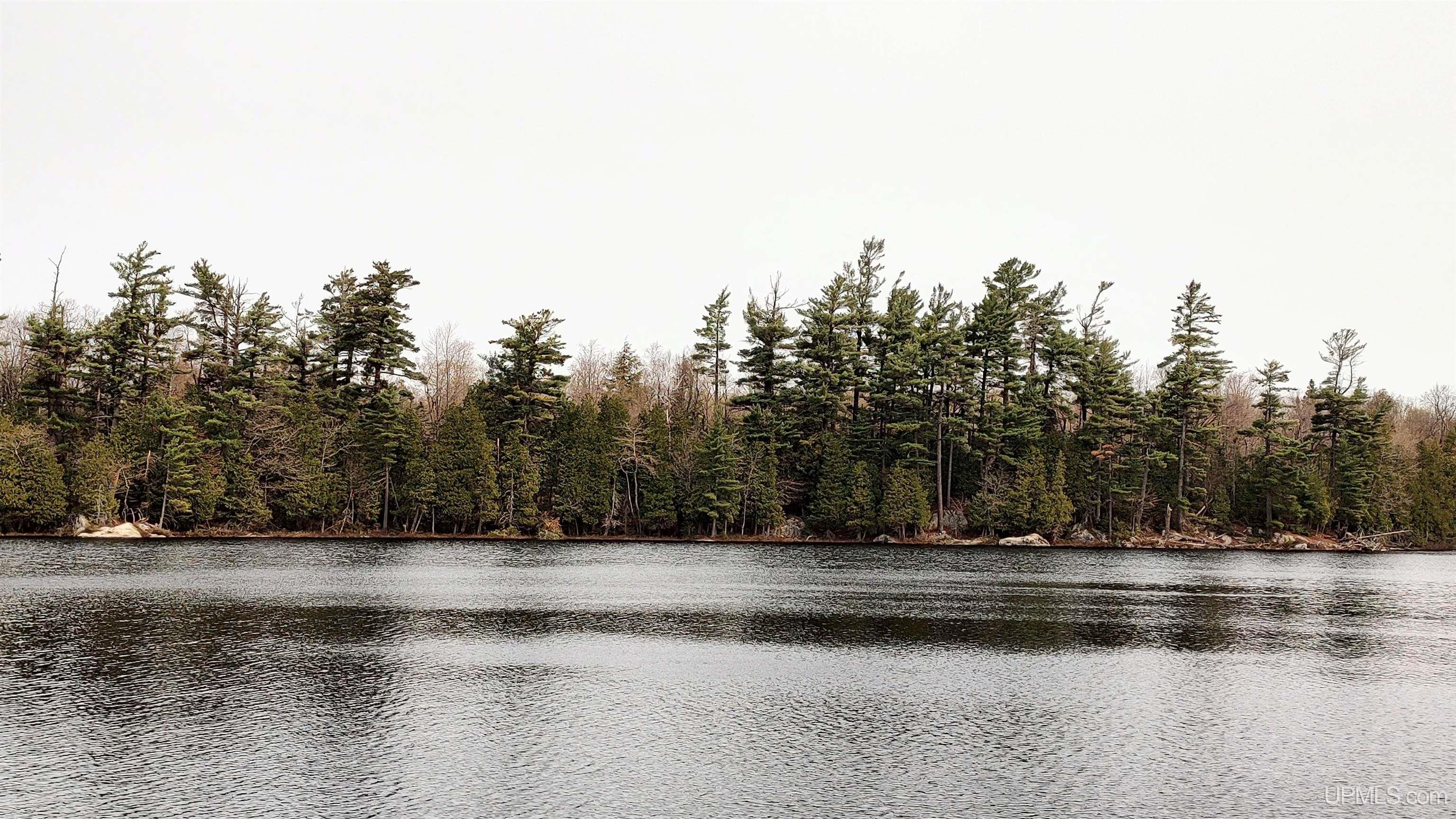 MLS 50106876 Large photo number 21 