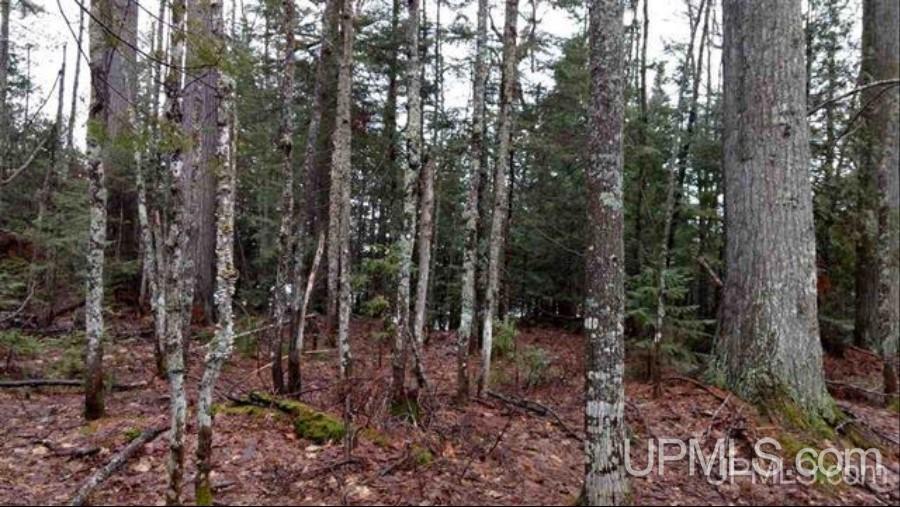 MLS 50106876 Large photo number 27 
