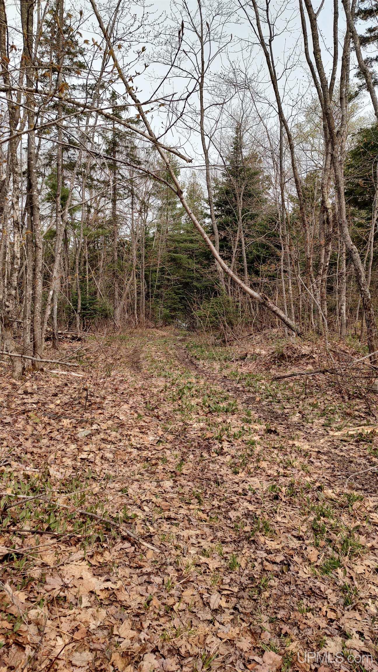 MLS 50106876 Large photo number 29 