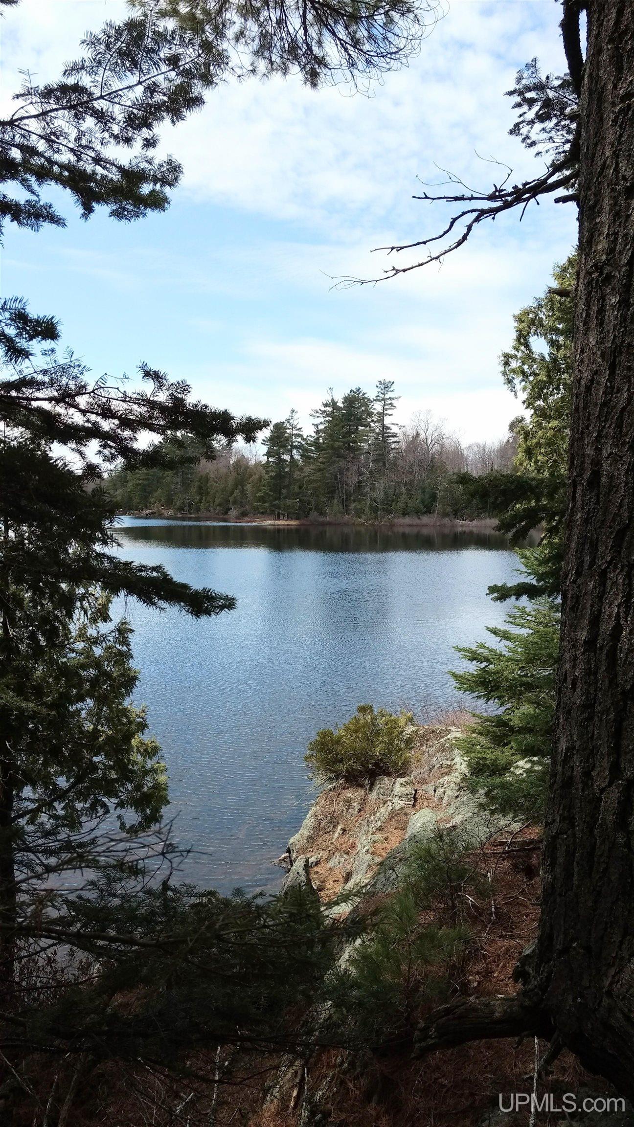 MLS 50106876 Large photo number 4 