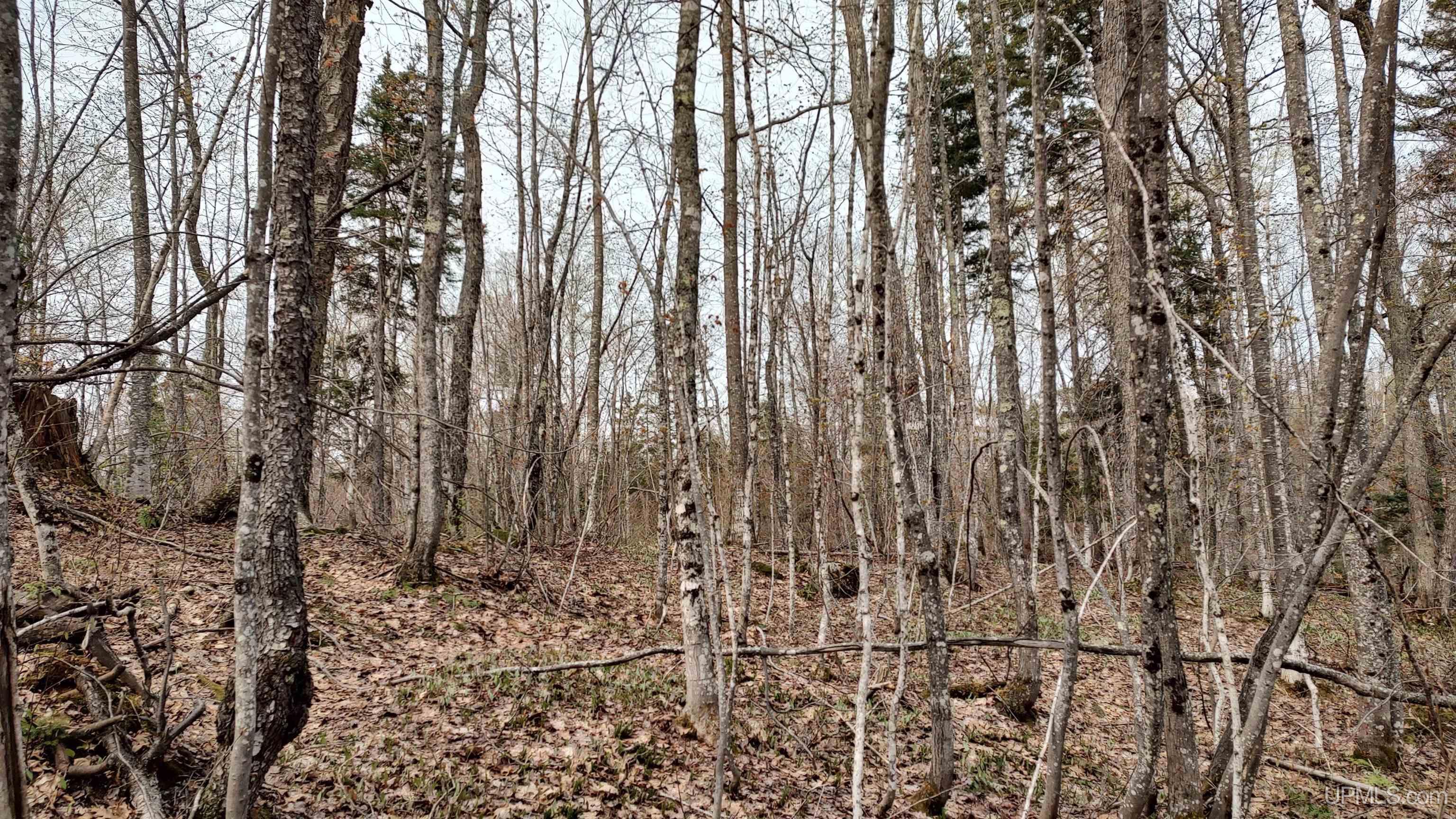 MLS 50106876 Large photo number 31 