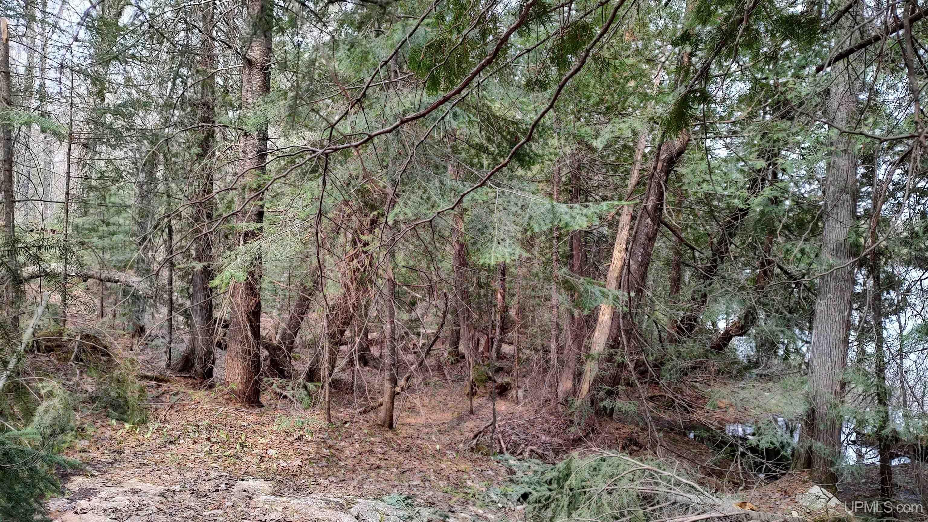MLS 50106876 Large photo number 32 