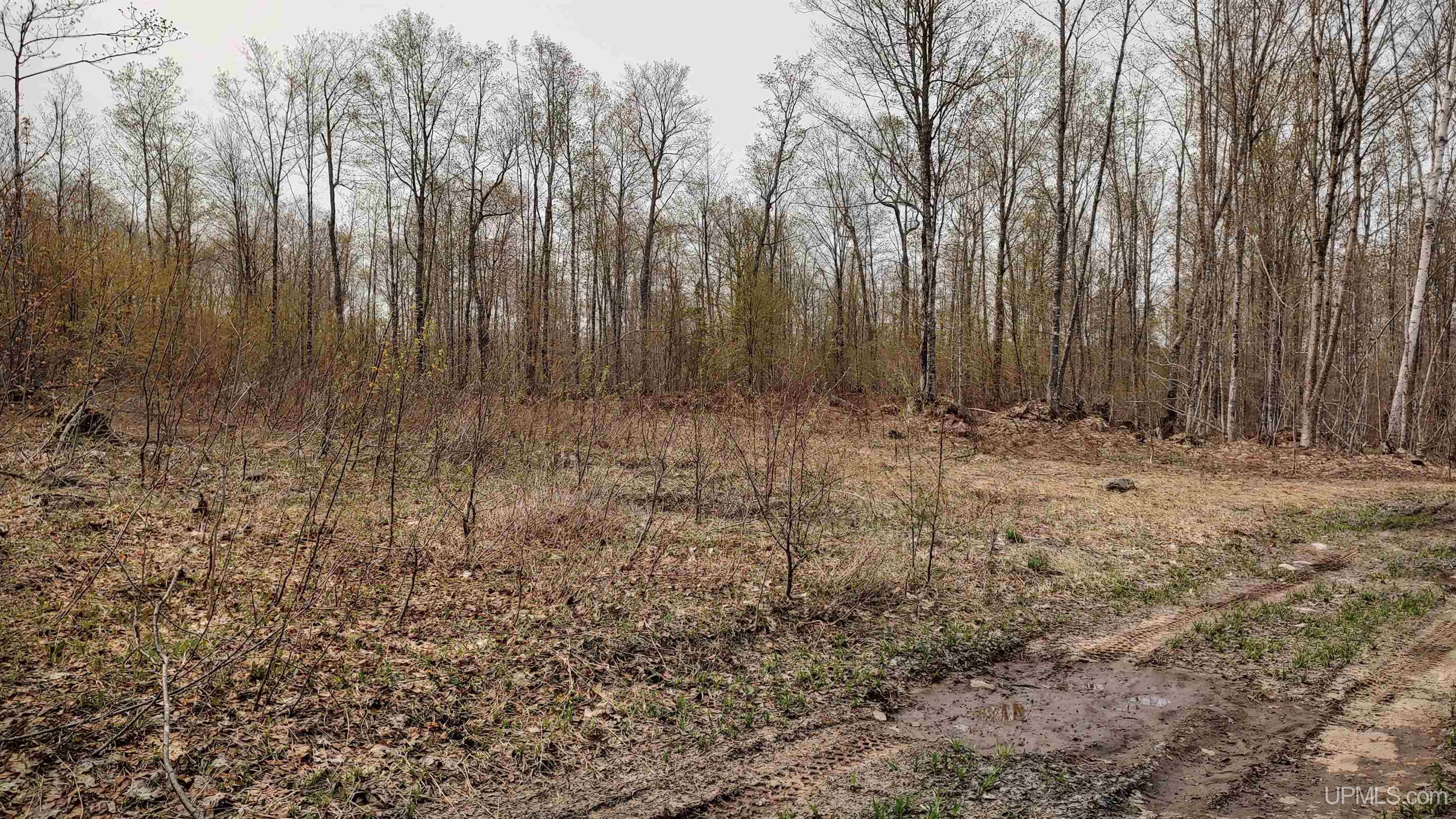 MLS 50106876 Large photo number 45 