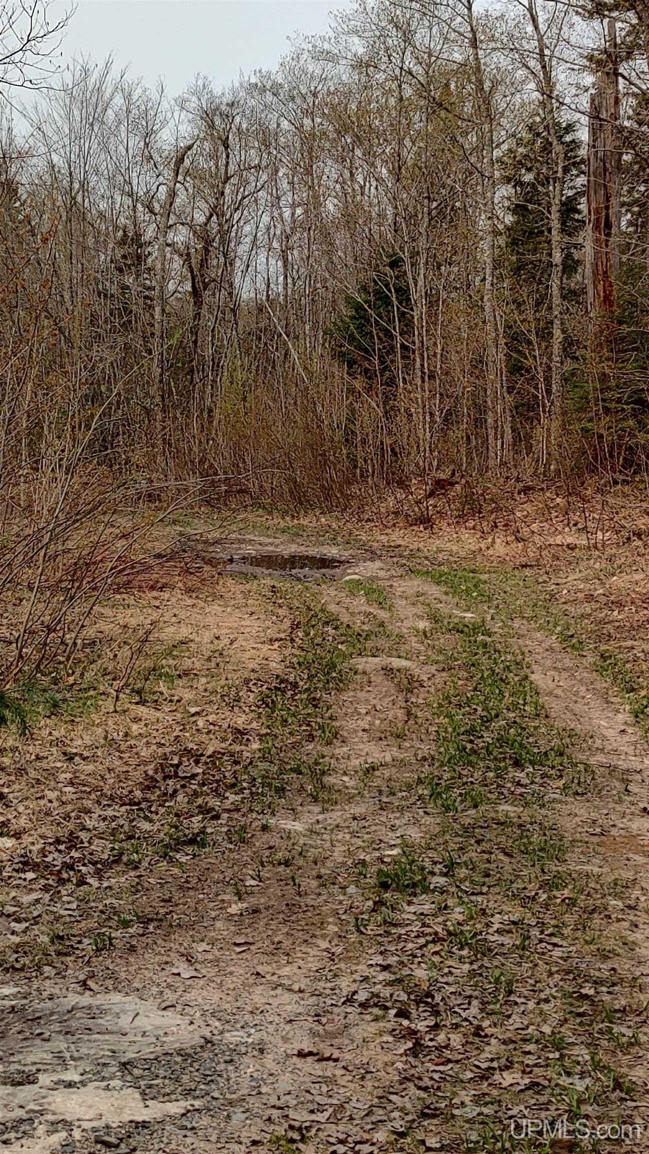 MLS 50106876 Large photo number 50 