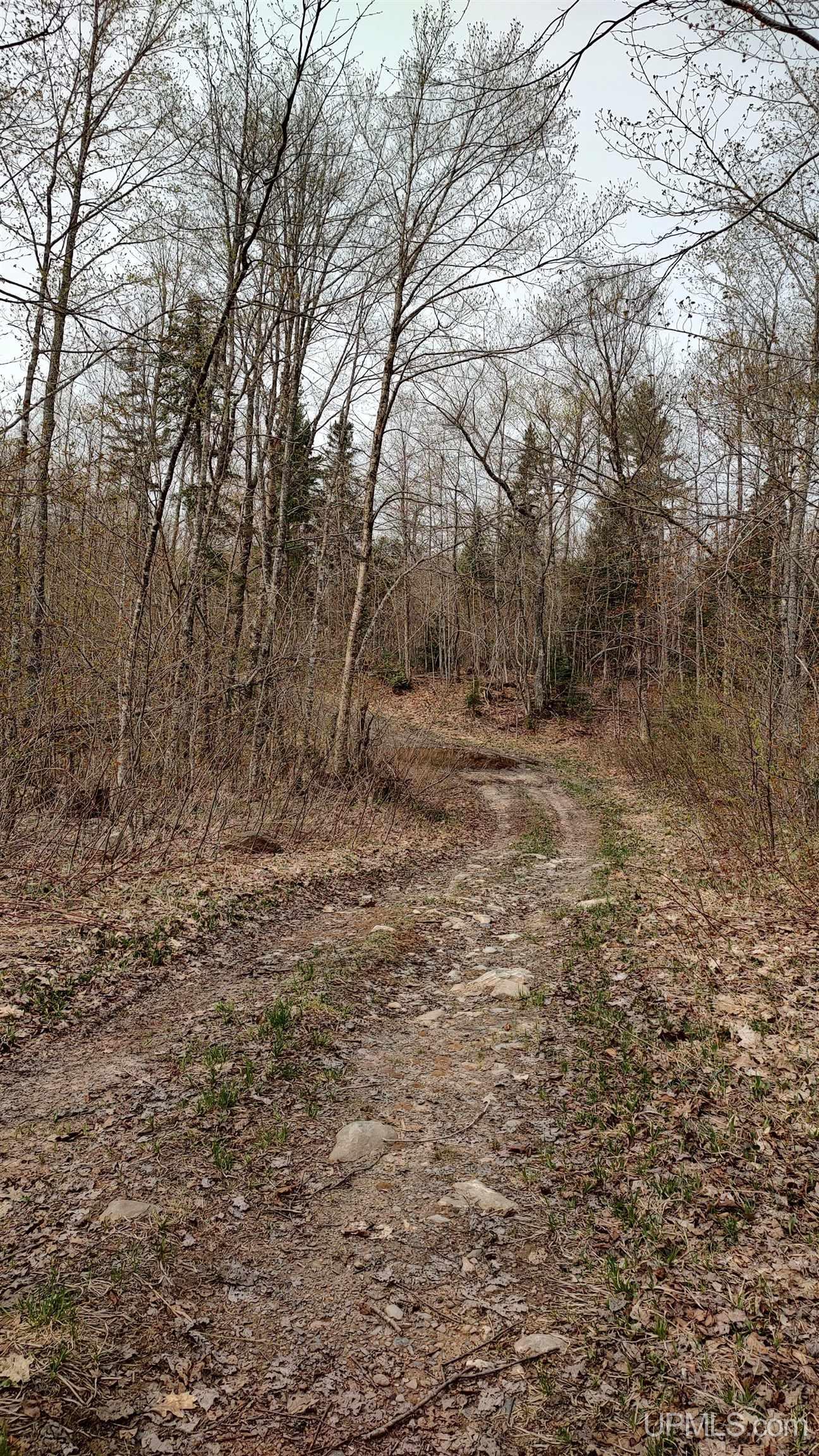 MLS 50106876 Large photo number 52 