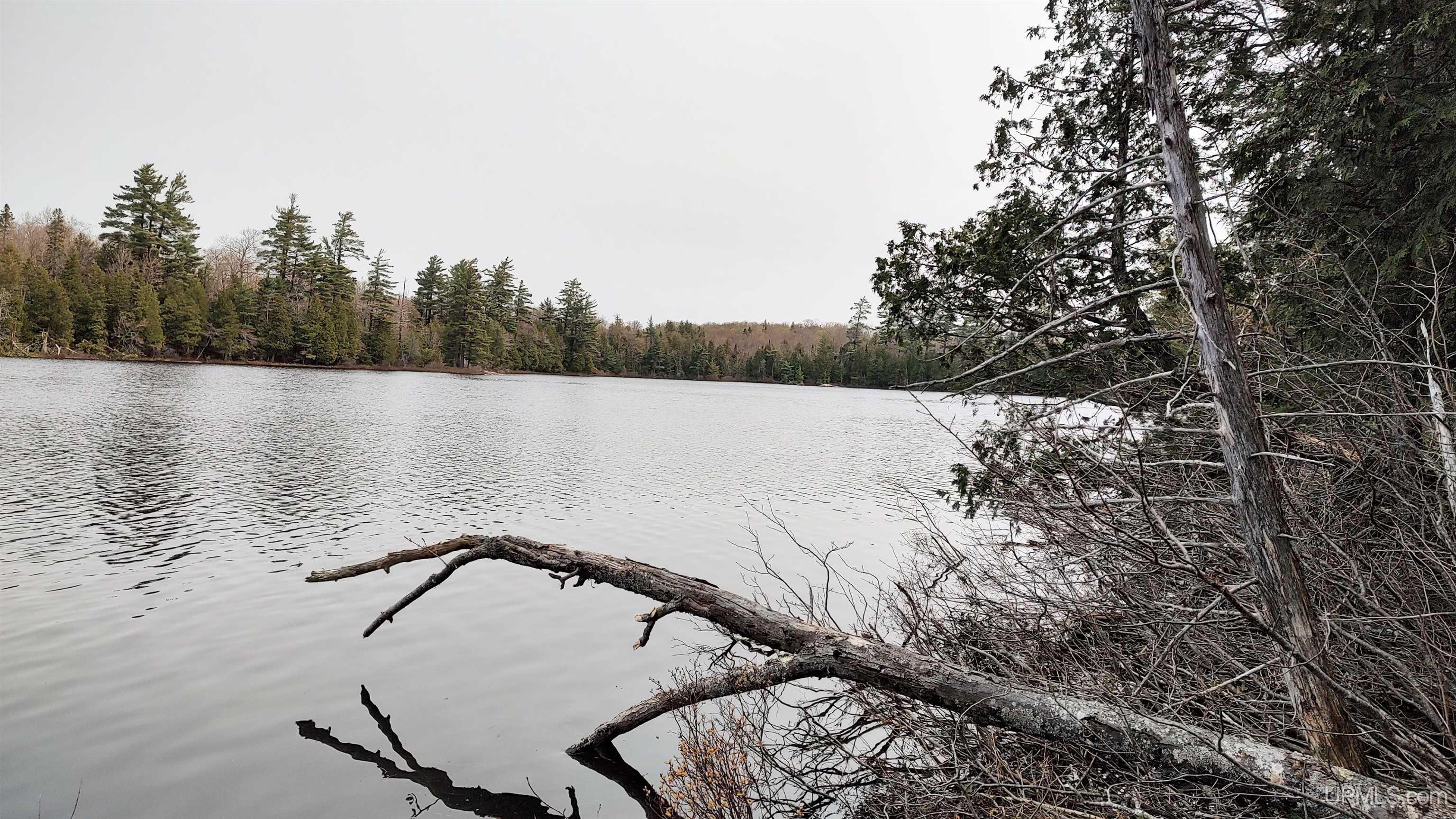 MLS 50106876 Large photo number 7 