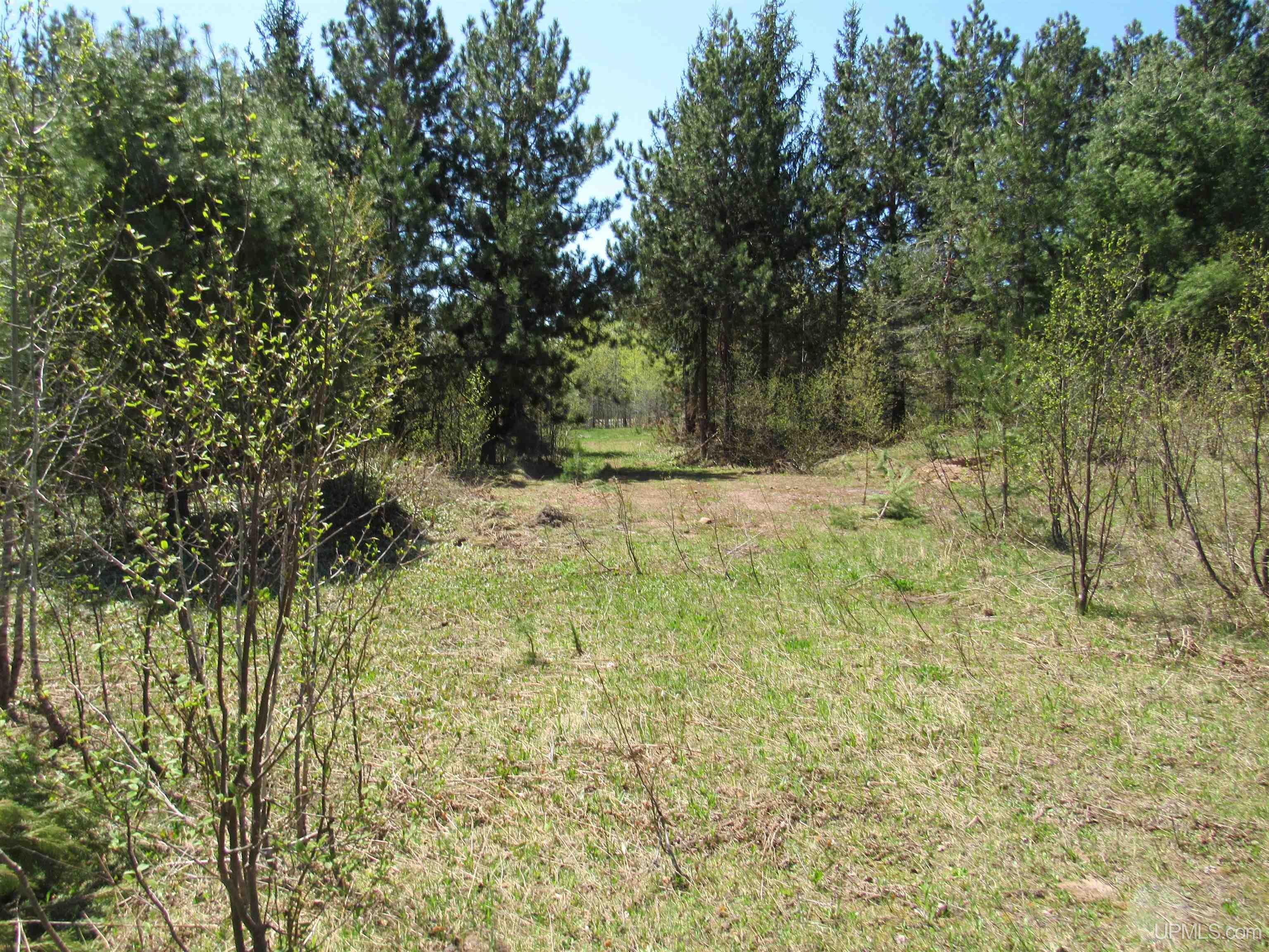 MLS 50111417 Large photo number 11 